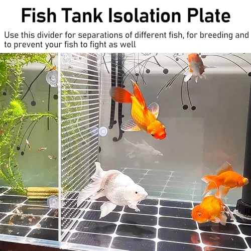 Divisor de acuario ajustable con ventosa para una separación óptima de los peces y organización del tanque