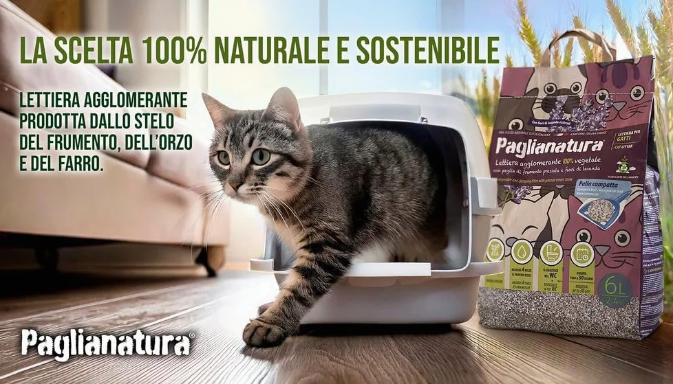 Paglianatura Set de 6 Piezas de Arena Natural para Gatos, 2,4 kg/6 litros, Alta absorbencia, ecológica, sin Olor, fácil de Limpiar