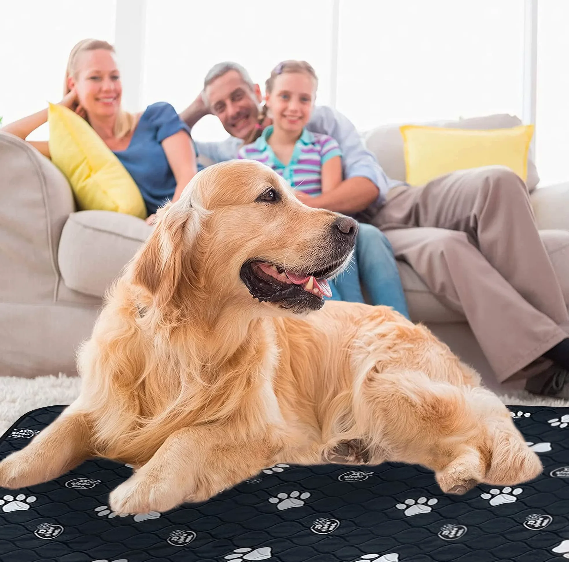 EZwhelp Almohadillas reutilizables para orina de perro, lavables e impermeables para entrenamiento de orinal de perros o almohadillas de parto, 50 x 50 pulgadas, paquete de 2
