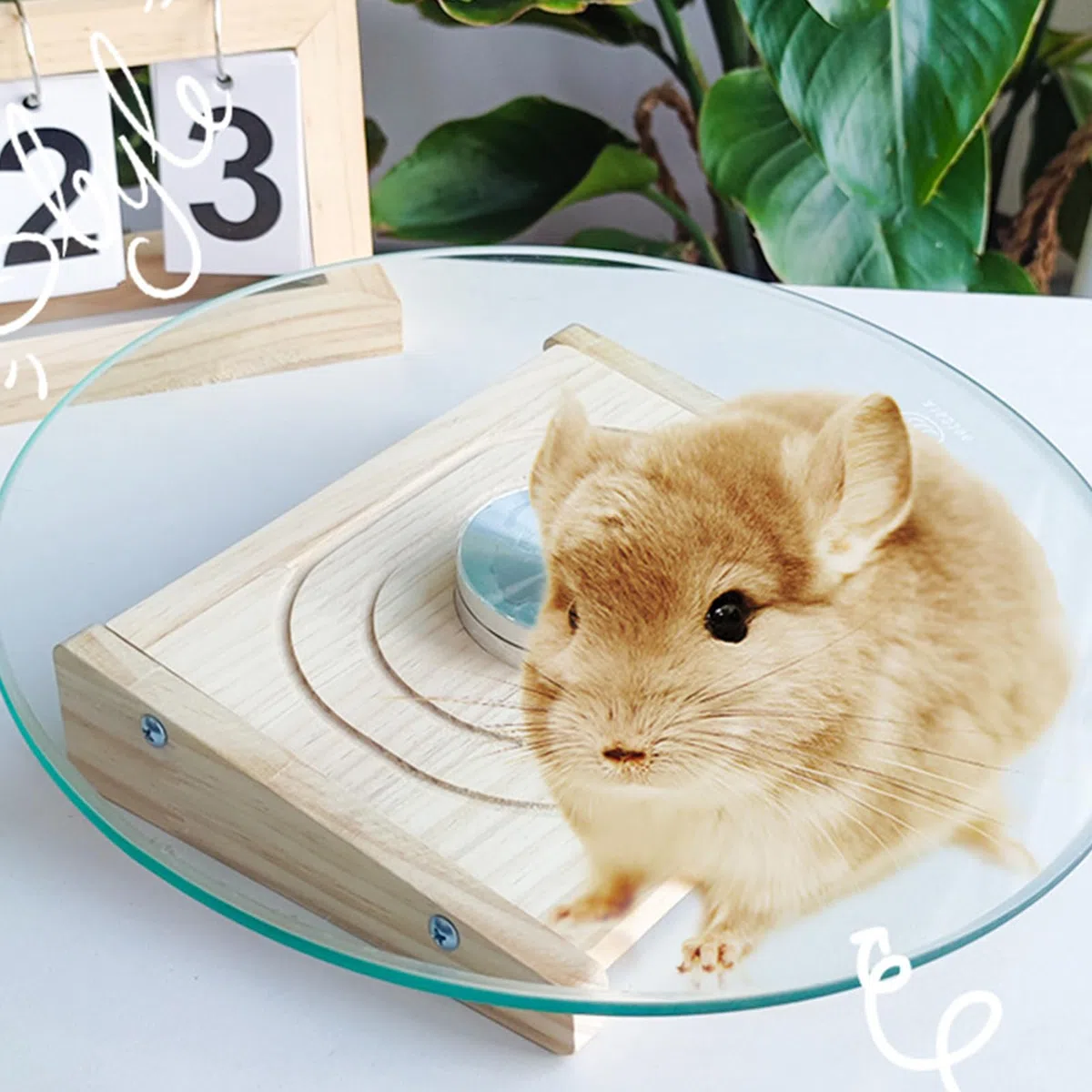 Rueda de ejercicio para mascotas pequeñas, hámster de rueda de ejercicio | Juguetes de casas y hábitats, accesorio de jaulas, spinner para chi
