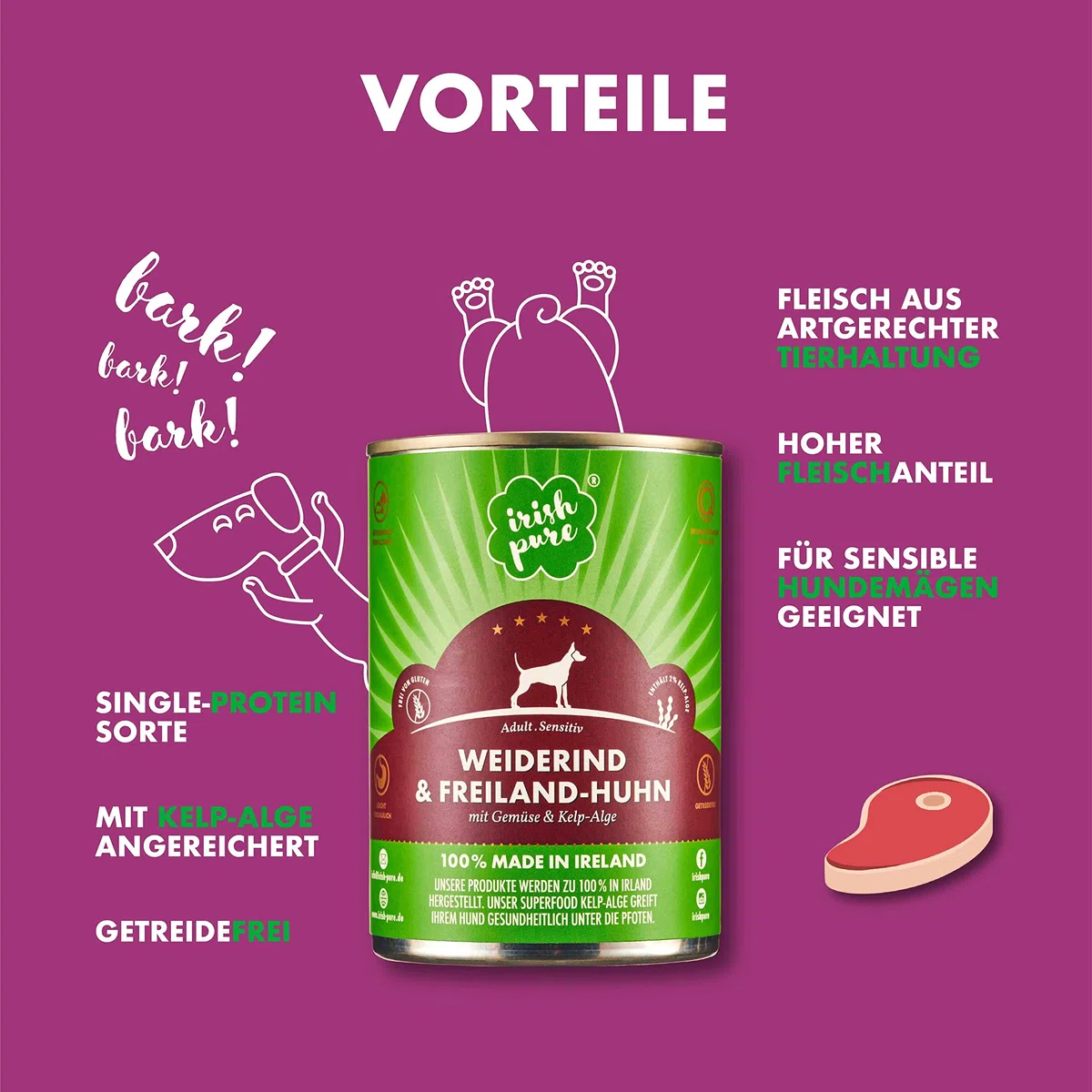 Irish Pure 12 latas de comida húmeda para perros, comida húmeda prémium irlandesa y pollo al aire libre, verduras y algas celp (12 latas de 390 g)