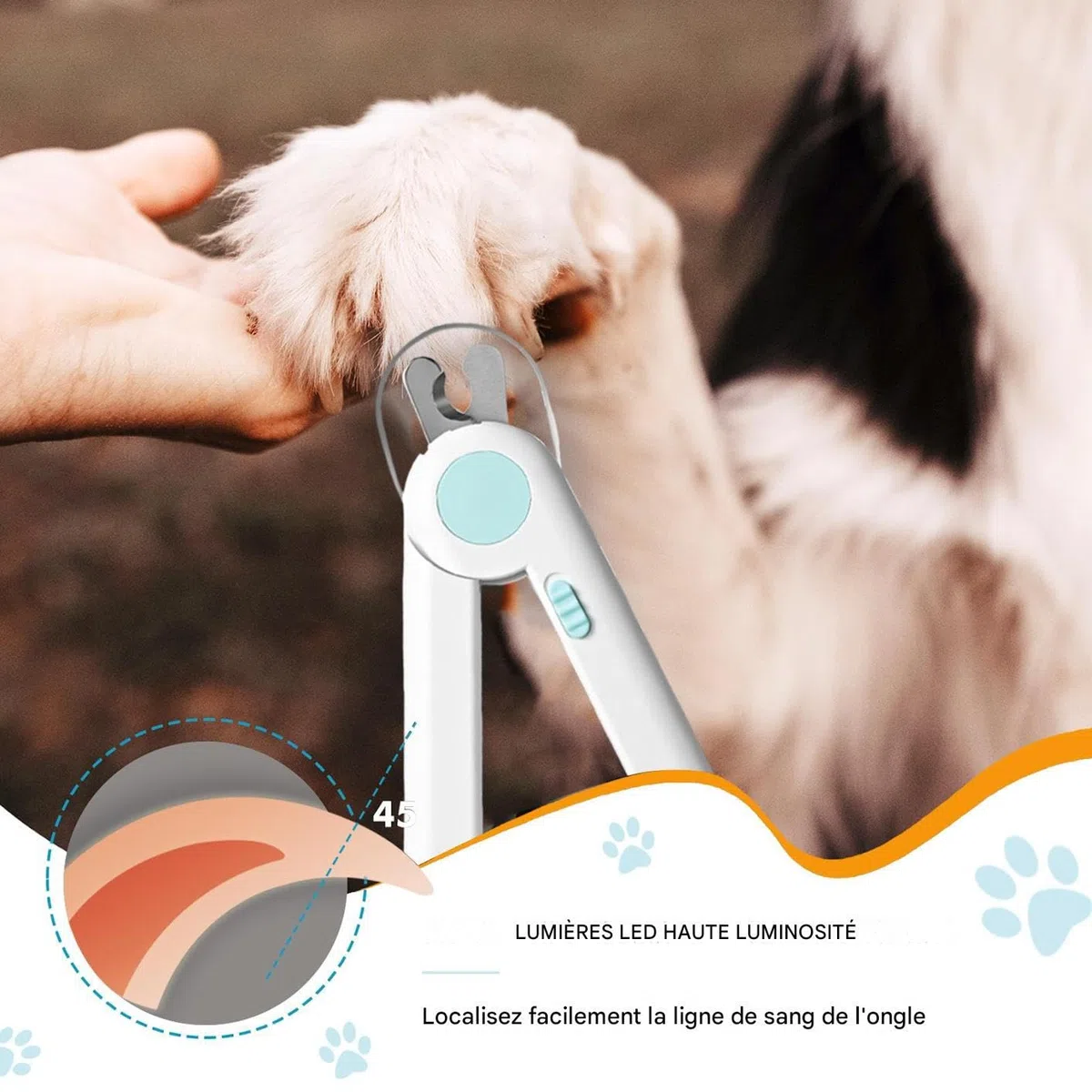 Cortauñas para Mascotas, Cortauñas for Cachorros con luz, Herramienta de Aseo suavizante, for Animales pequeños, Conejos, pájaros, Gatitos, Uso doméstico en Interiores
