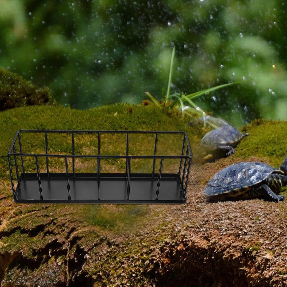 Comedero para Reptiles de Acero Inoxidable, Pequeño y Fácil de Limpiar