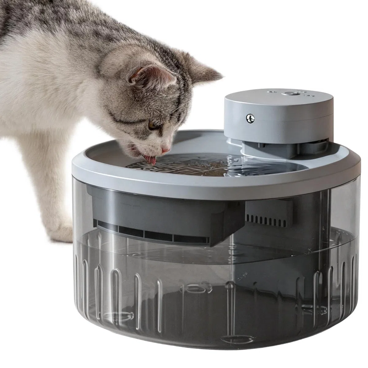 Fuente de Agua para Mascotas Dispensador silencioso 3,5 L Bebida semanal