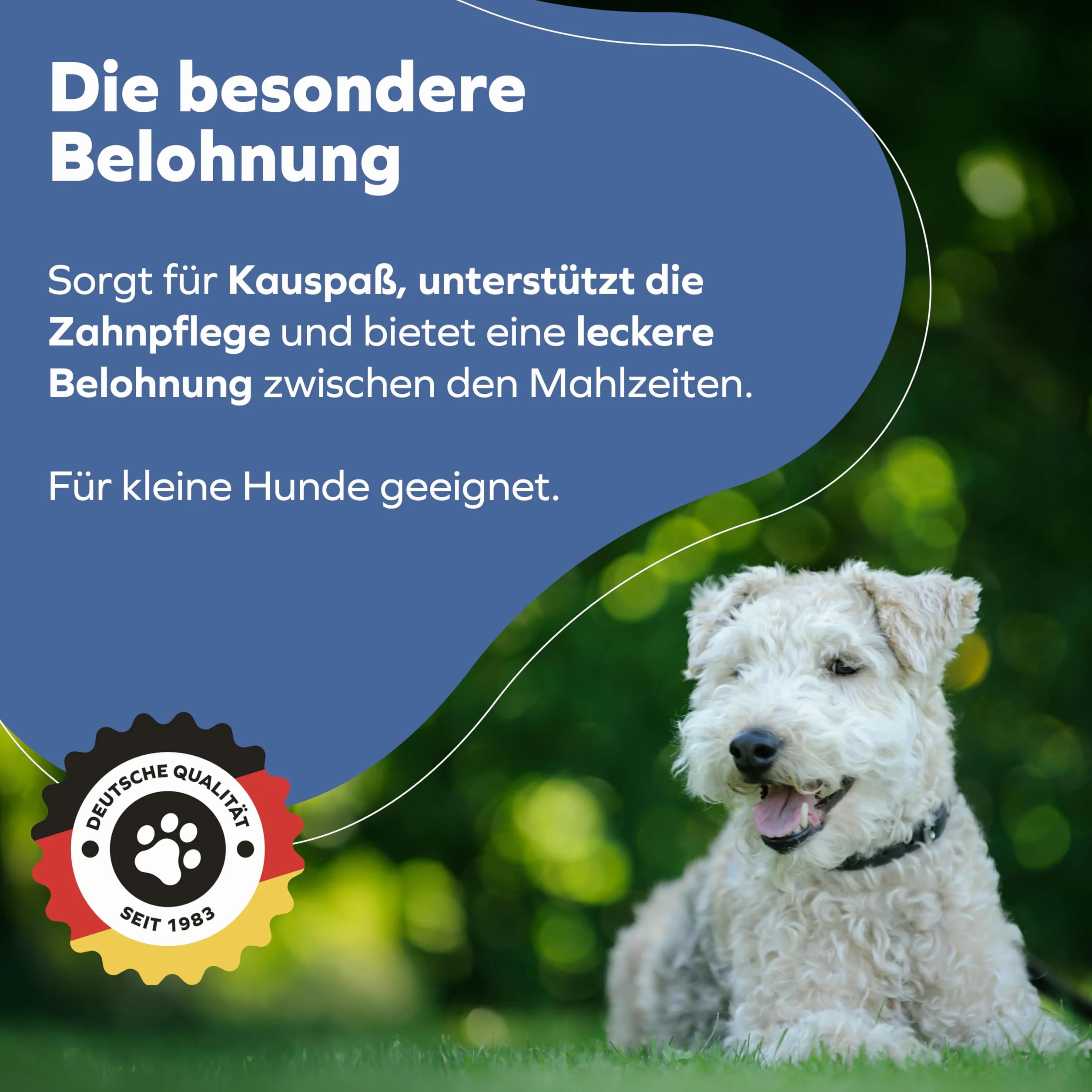 Piel de vacuno corta seca para perros – Pack de almacenamiento – aperitivos para perros – Cuidado dental para perros – 2500 g 8-18 cm