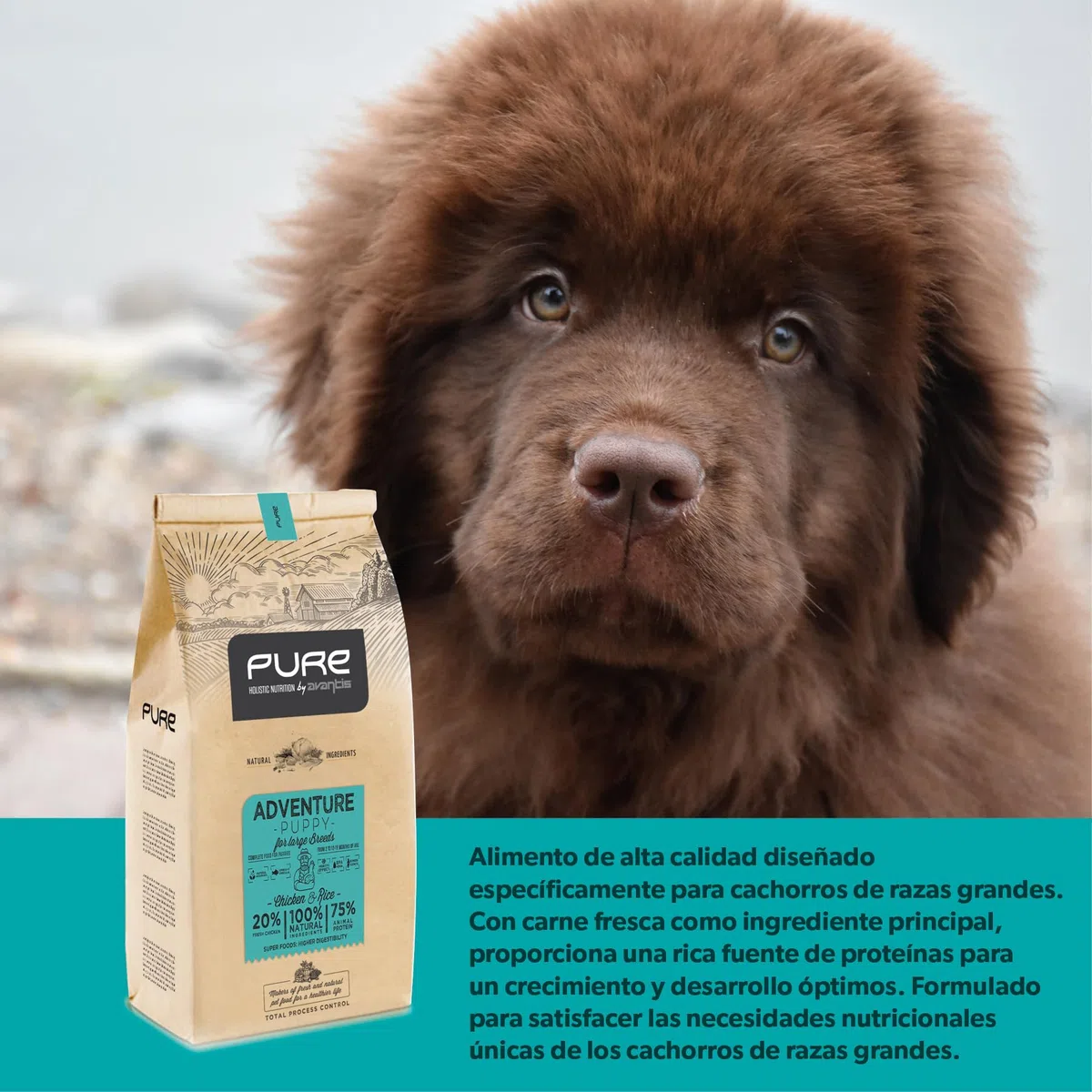 Pure Adventure Puppy Pollo y Arroz 12 kg – Pienso Holístico con Carne Fresca para Cachorros de Razas Grandes – Huesos y Articulaciones