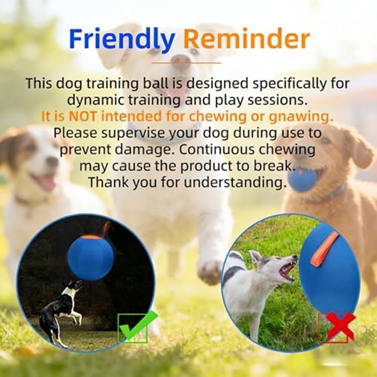Pelota de Pastoreo Hinchable Alta Resistencia, Grande, Interactiva y | Pelota Juego Mascotas Juguete Adiestramiento Canino Para Patio Trasero, Jardín, Césped Y Parque