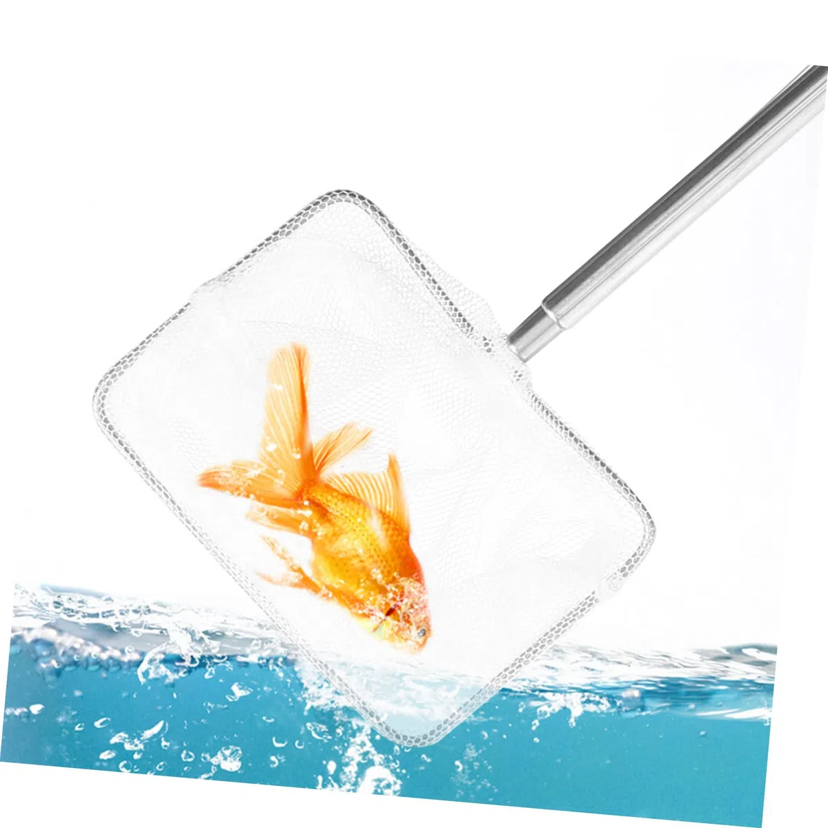 3 Piezas De Red De Pesca para Pecera Mango Extensible Red De Pesca para Camarones De a para Peces De a con Mango De Acero Inoxidable es De a para