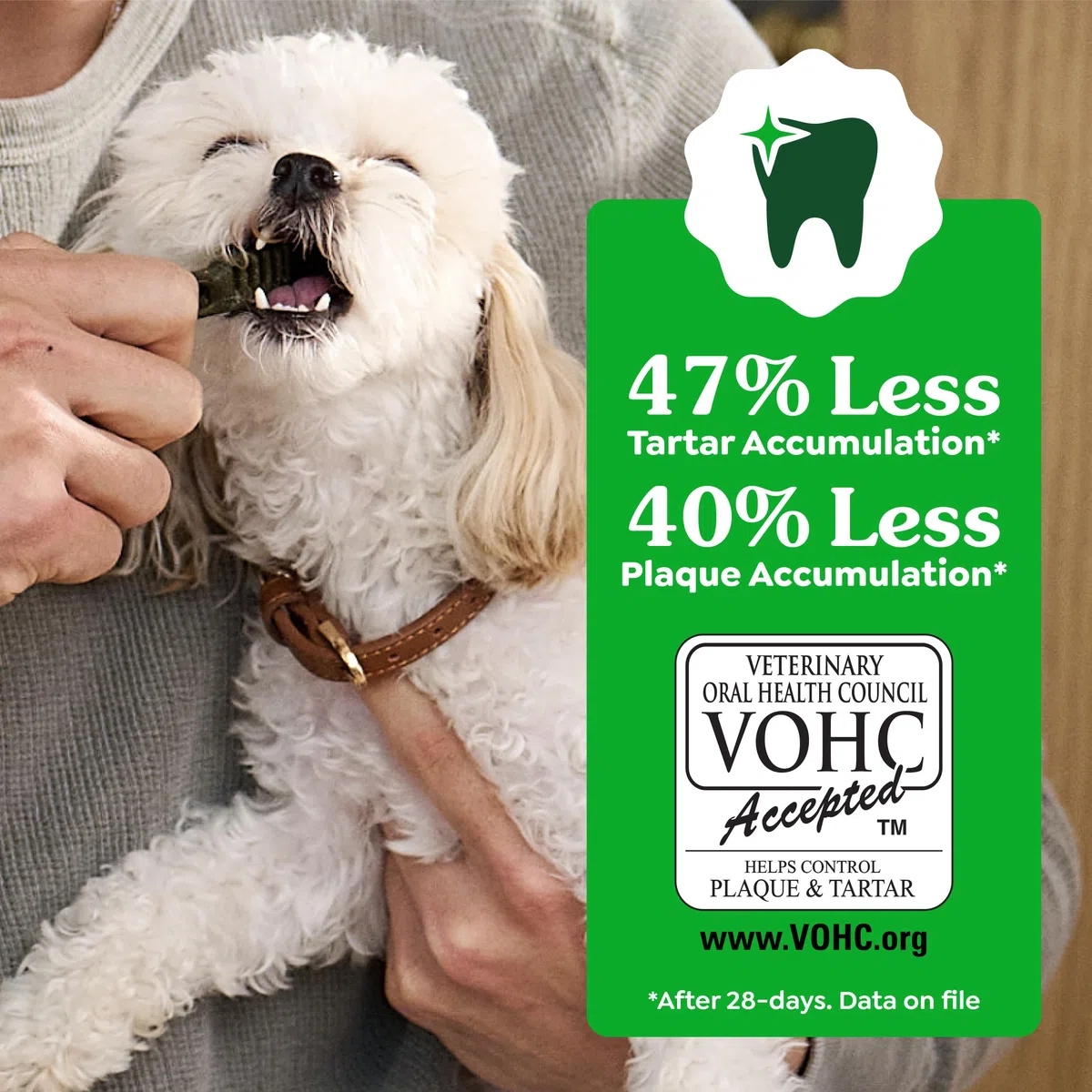 Greenies Golosinas dentales para Perros