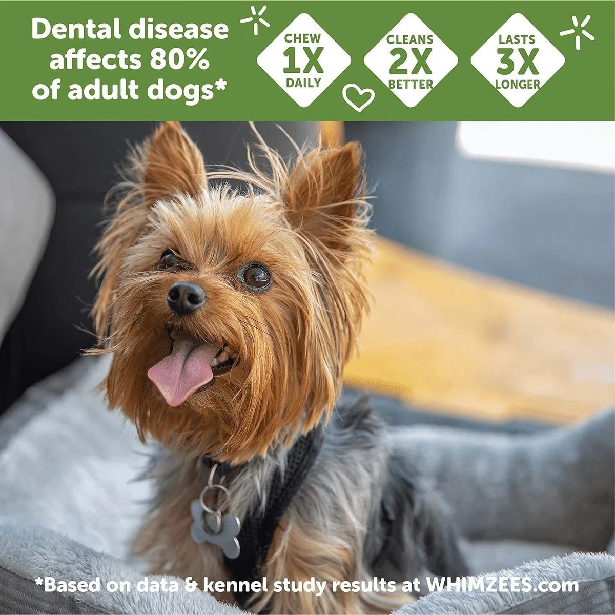 WHIMZEES X-Small Toothbrush Natural Healthy Daily Dental Dog Treats - 2 Pack