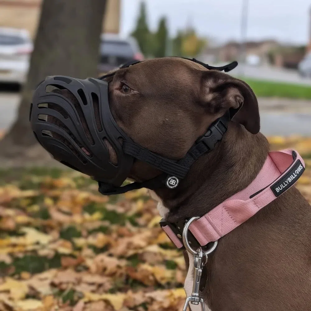 BullyBillows Bozal de perro | Bozal de seguridad flexible para perros para evitar mordeduras y carroñeros, cómodo material TPE, correa ajustable, diseño transpirable para perros pequeños a grandes