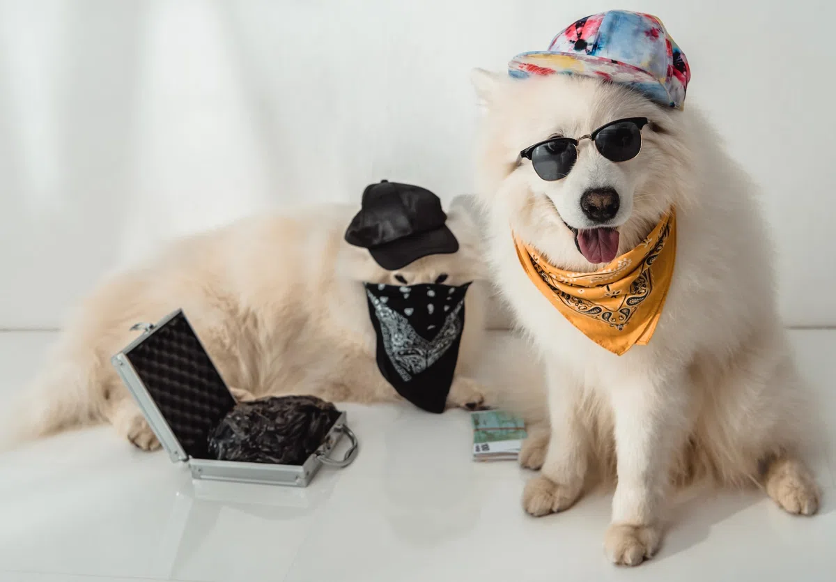 Bandana Pañuelo Triángulo Baberos para Cachorros, Perros y Gatos - naranja - Ajustes De Un Talla Más