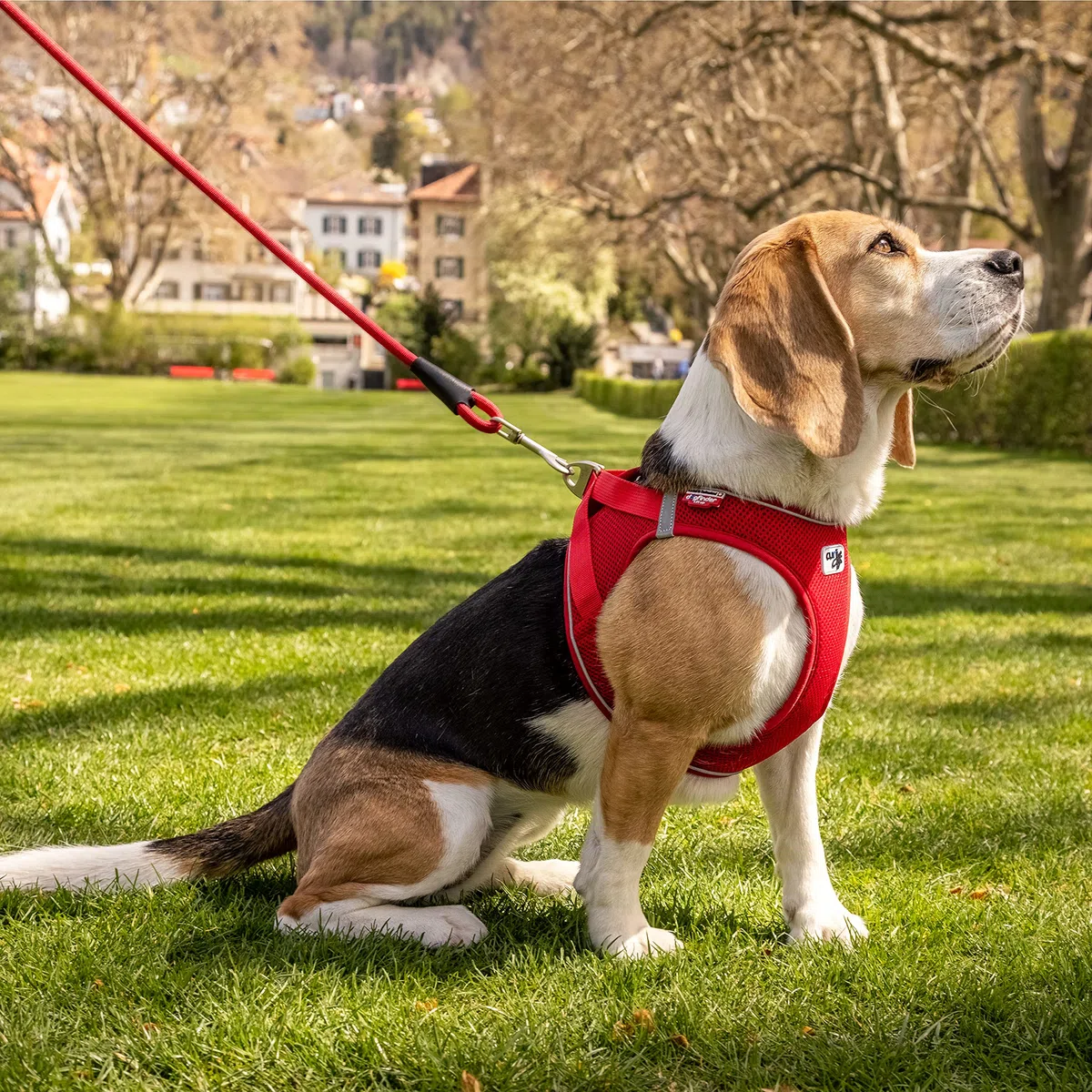 Magnetic Vest Harness Air-Mesh V2 Red 2XS