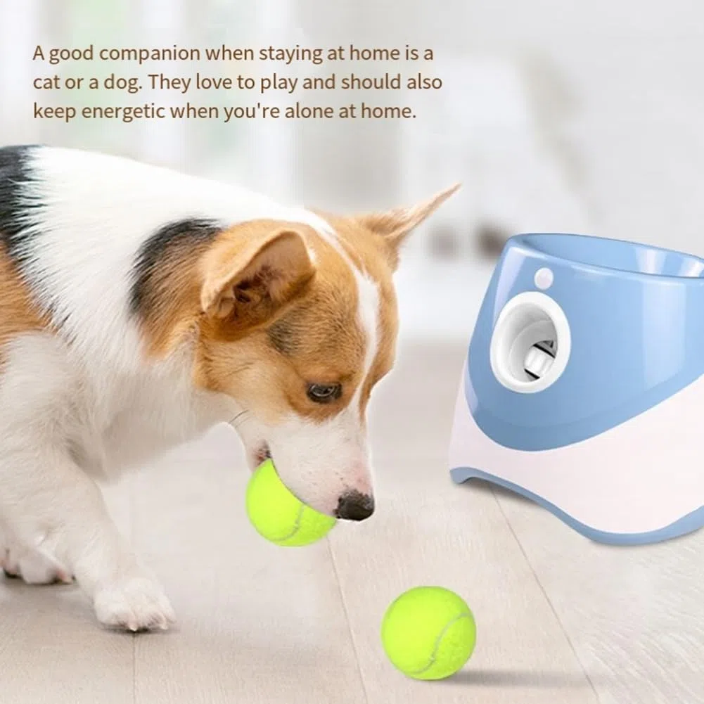 Lanzador de Pelotas de Tenis para Perros, Juguetes Automáticos para Perros, Máquina Interactiva Divertida y Automática, Catapulta Interactiva Divertida B