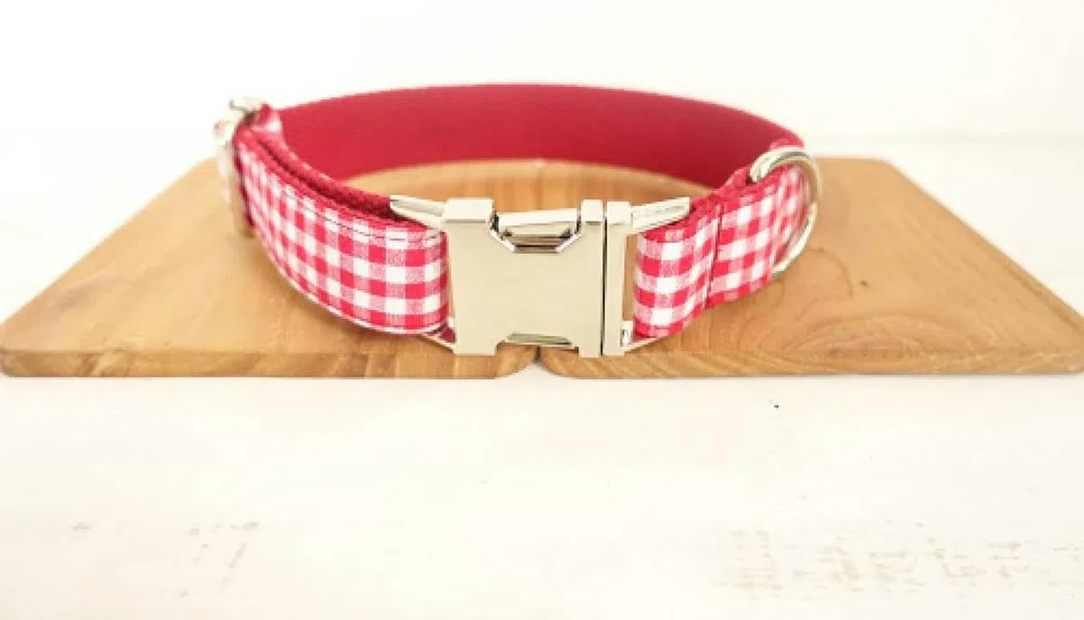 Collar de Perro Creativo Collares de Perro robustos Correas 5 tamaños-Collar de Perro-S