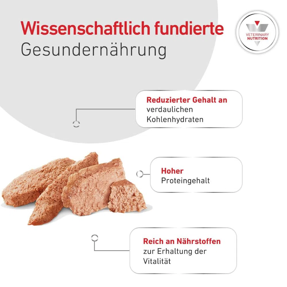 ROYAL CANIN Veterinary Glycobalance Bajo en Carbohidratos Paté | 12 x 410 g | Alimento dietético Completo para Perros | Bajas calorías