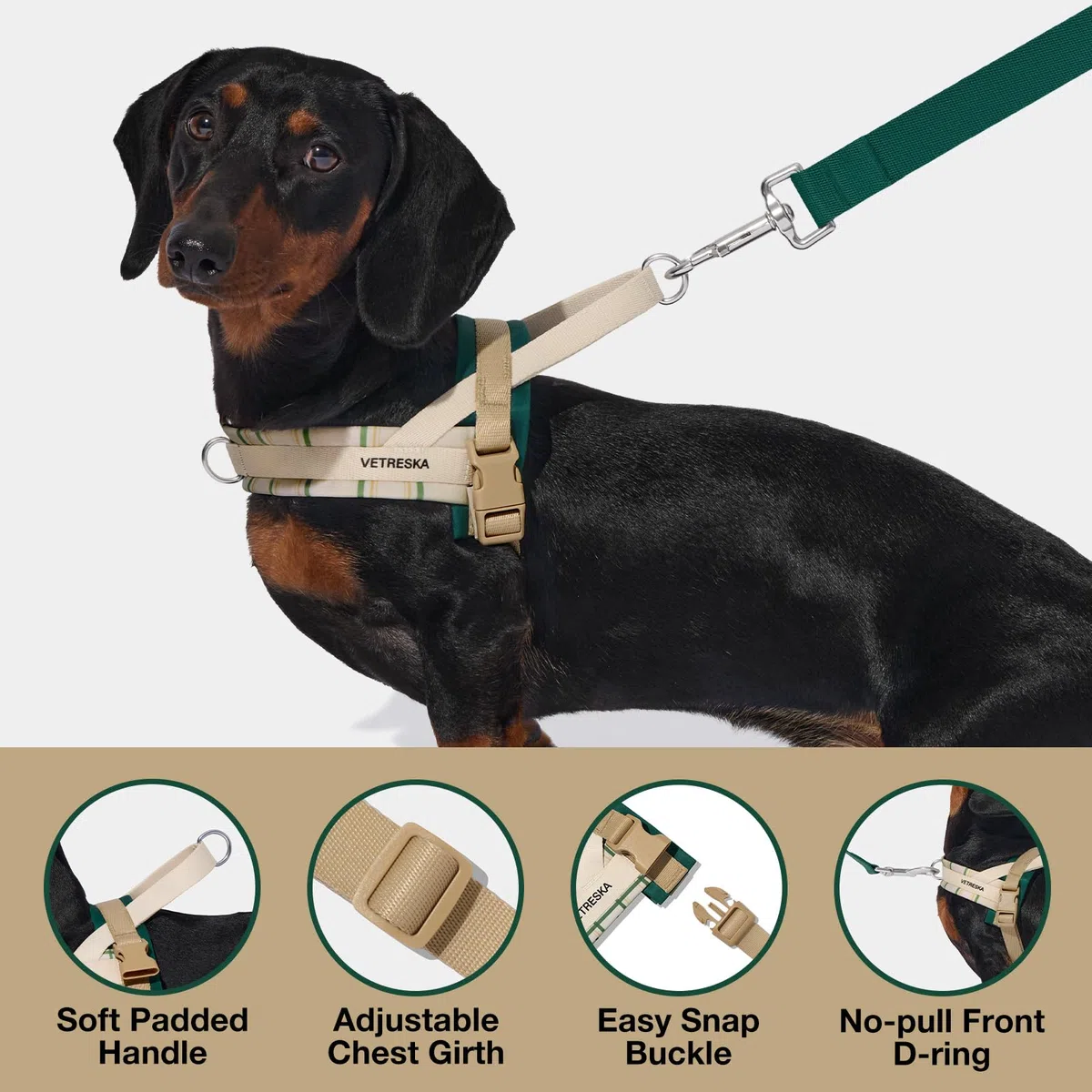 VETRESKA Easy Walk - Juego de arnés y correa para perro, arnés para perros pequeños y medianos, arnés para cachorros sin tirones para pasear y entrenar, ajustable, correa antitorsión (Santal Forest
