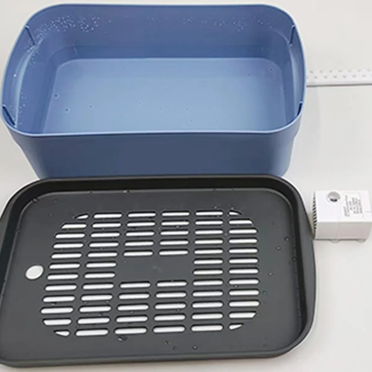 Bañera Automática para Aves Ducha De Baño Para Loros Con Fuente | Tina Eléctrica USB Para Aseo De Mascotas Pequeñas Y Medianas: Periquitos, Grises Africanos, Agapornis Y Cacatúas