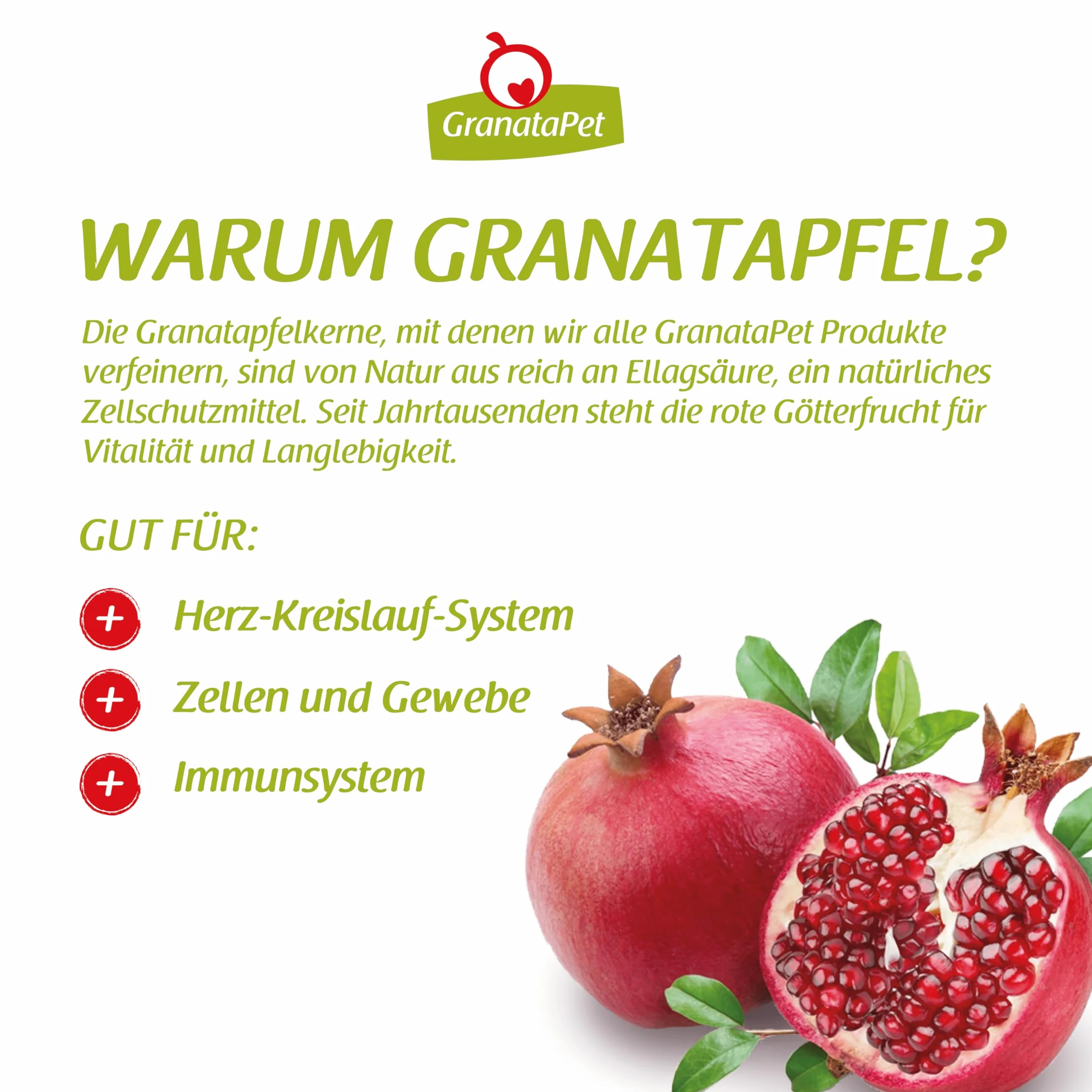 Liebling´s Mahlzeit GranataPet Comida Favorita para Aves de Corral Junior, 10 kg, Comida Seca para Perros, Comida para Perros sin Cereales y sin azúcares añadidos, pienso Completo | Pienso completo, sin cereales, sin azúcar, aceite de salmón y mejillón de