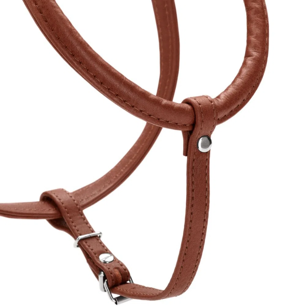 Hunter Arnés Canadiense Redondo & Soft Canadian UP, Color coñac, Suave y Flexible, Costuras Redondas, Cuidado con la Piel, sostenible, Fabricado en Alemania, Talla: S-M