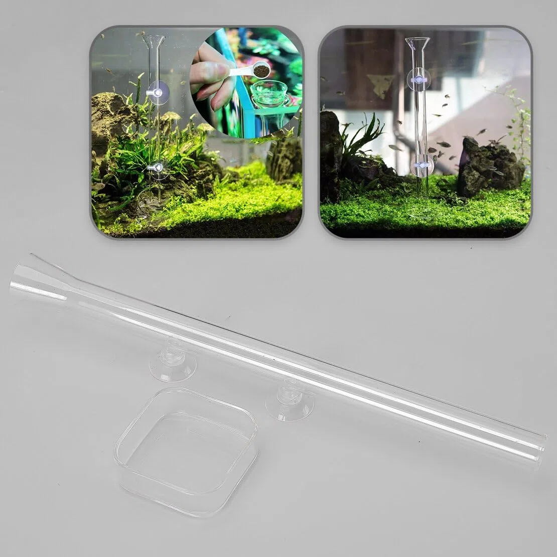 Tubo de alimentación de camarones de cristal transparente para acuario de 30 cm con ventosas, cuenco de alimentación, bandeja cuadrada