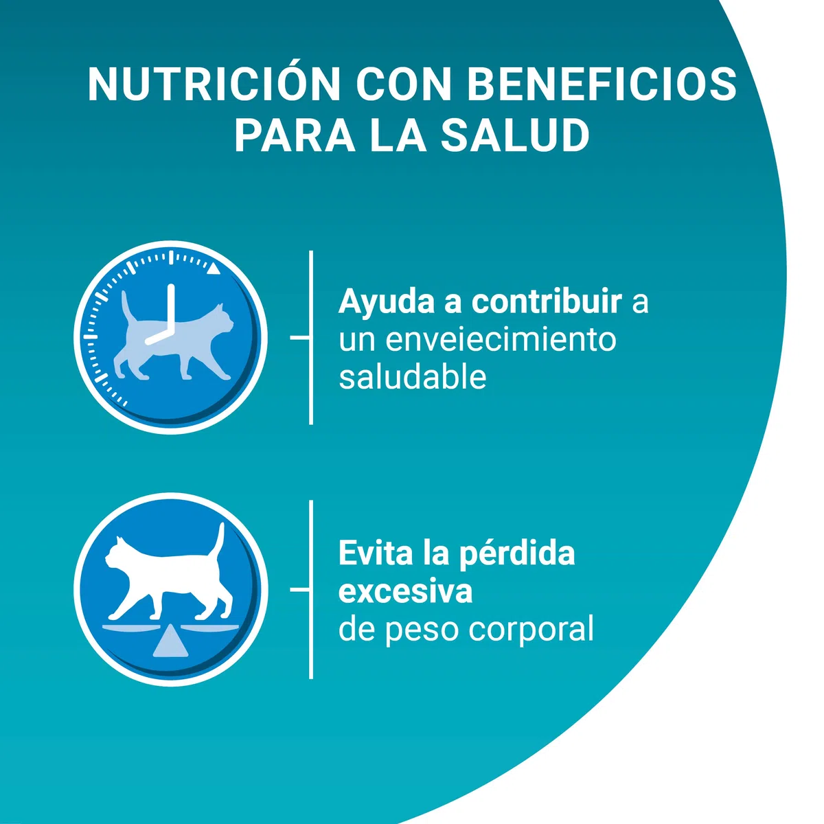Purina ONE Bifensis pienso gato Adulto Senior 11+ Pollo 6x1,5 kg