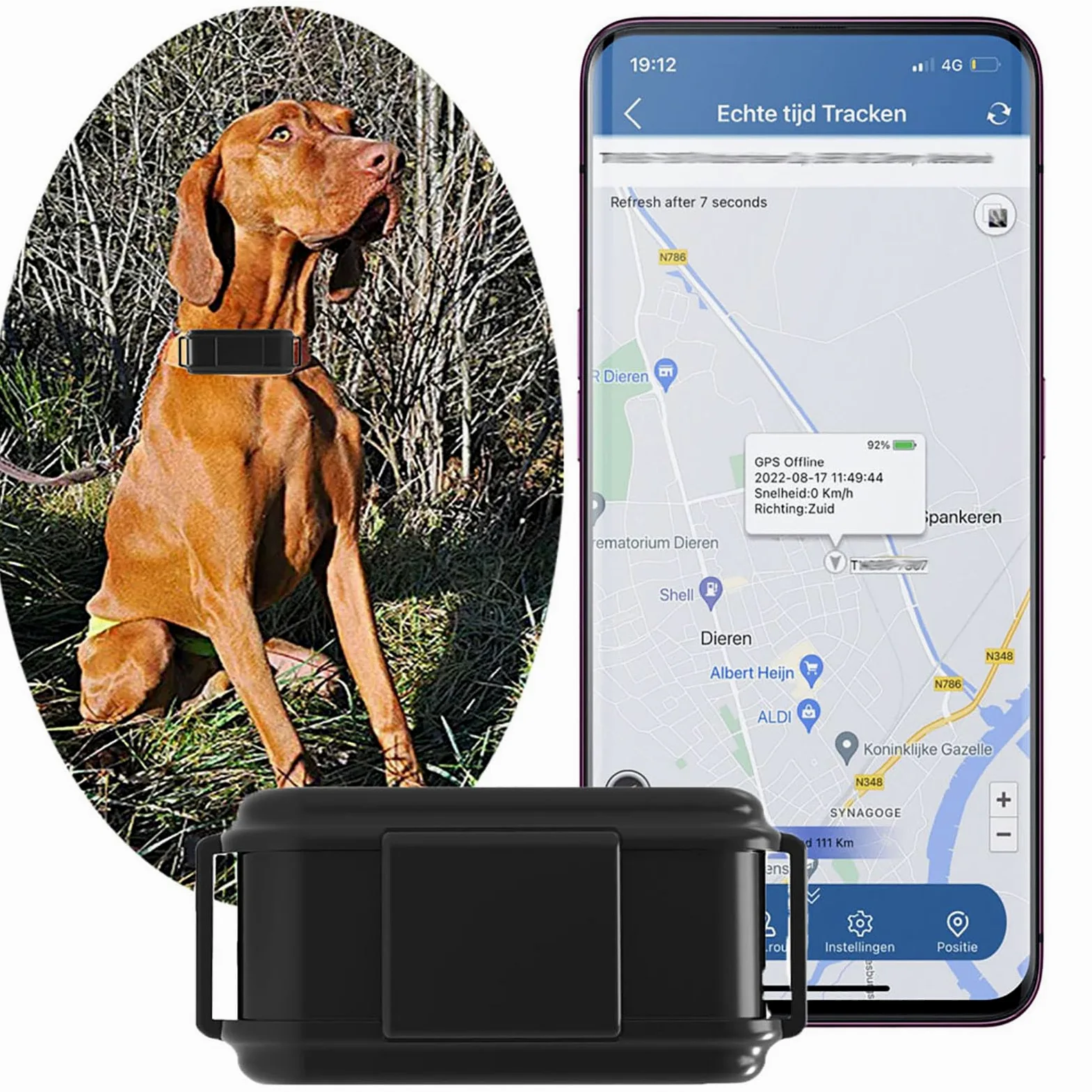 GPS para collar de perros 4G, rastreador de actividad en tiempo real, satélite para collar de gato y perro - Impermeable - Localizador con aplicación gratuita