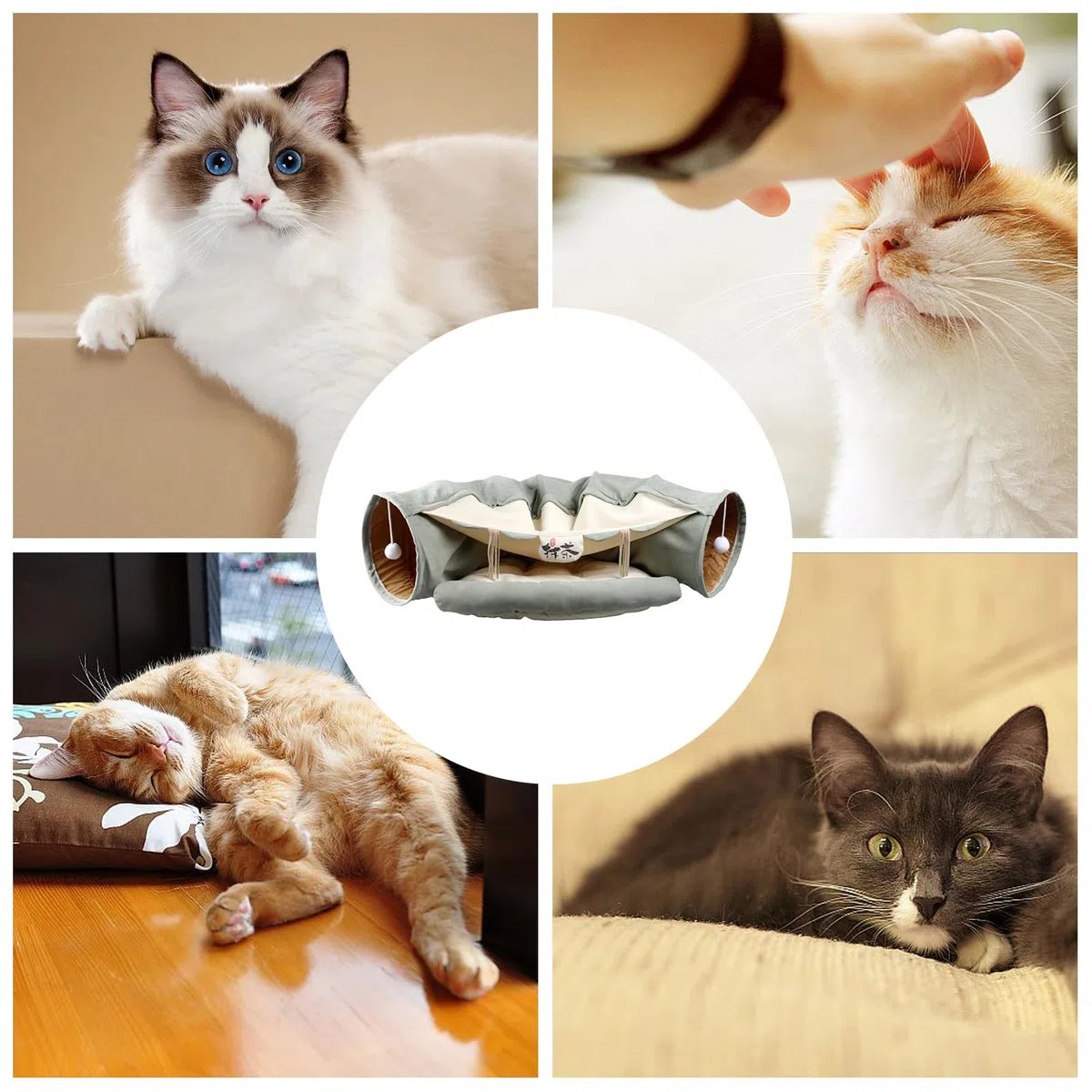 plegable para gatos | Cama suave para gatos con , mascota plegable | portátil, cama multifuncional, juguetes para mascotas para entretenimiento de conejos