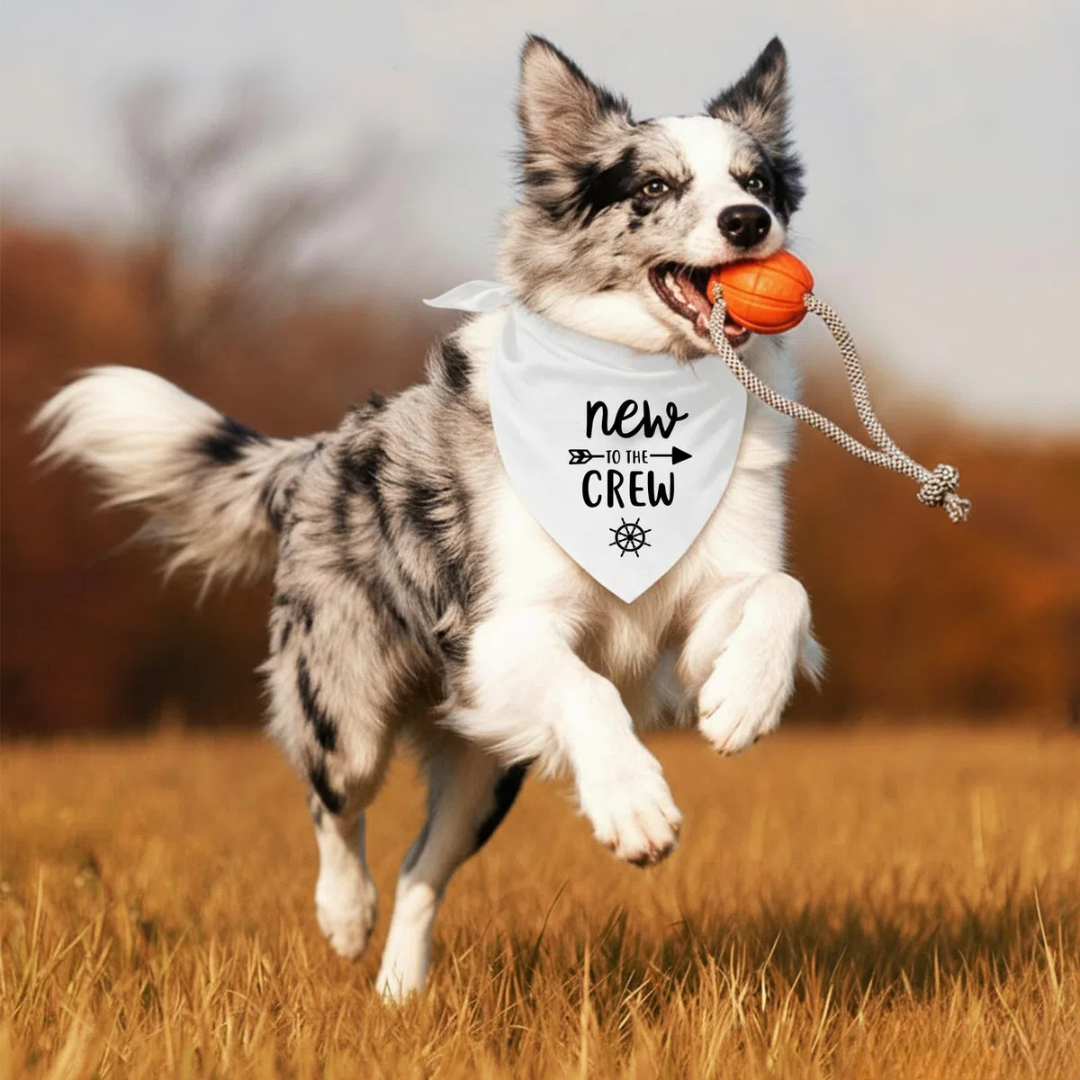 New to The Crew - Bandana para perro, anuncio de nuevo cachorro, revelación de género, regalo para nuevos propietarios, bandana para cachorros, regalos para dueños de perros, baberos triangulares