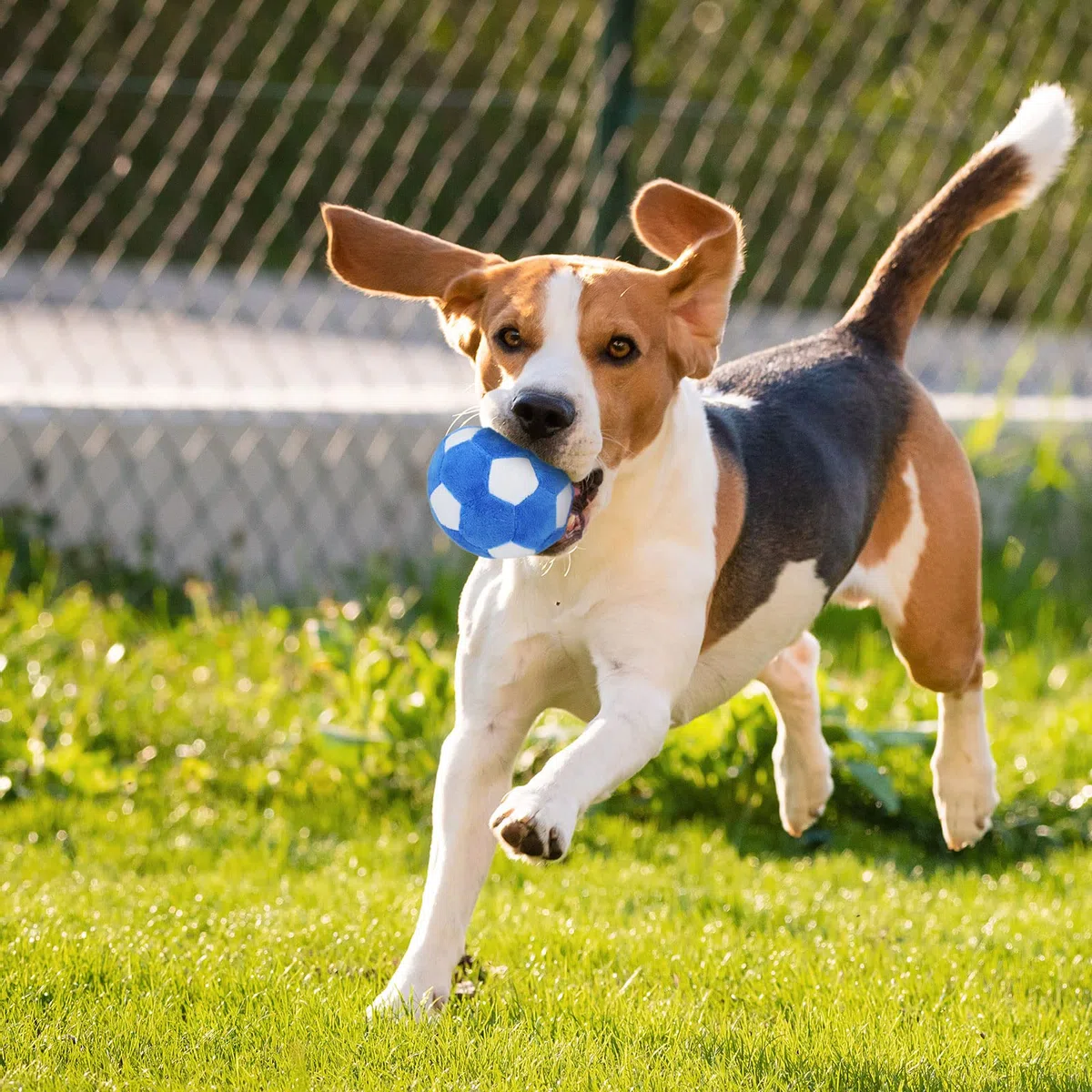 Pelotas de juguete para perros, balón de fútbol de felpa masticable para perros, pelota suave chirriante rellena de juguete esponjoso y duradero para interiores y exteriores, cumpleaños para