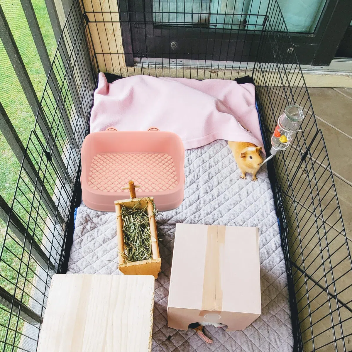 Arenero para Conejos y Chinchillas de Plástico Base Filtrante
