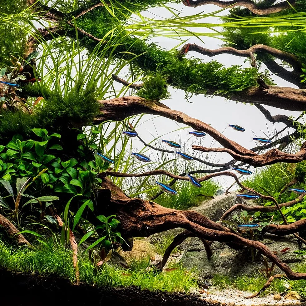 Acuario exterior filtro HW de 702 a 15 W 1000 l/h hasta 400L Platillos + Filtro material