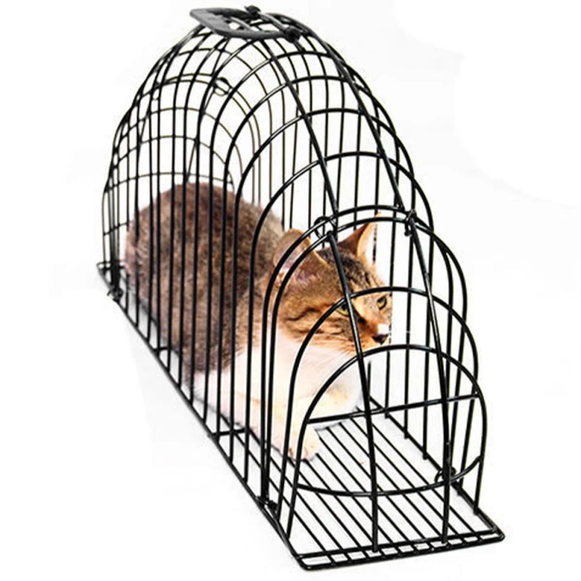 Jaula de Baño para Gatos con Cepillo, Secado, Metal Negro