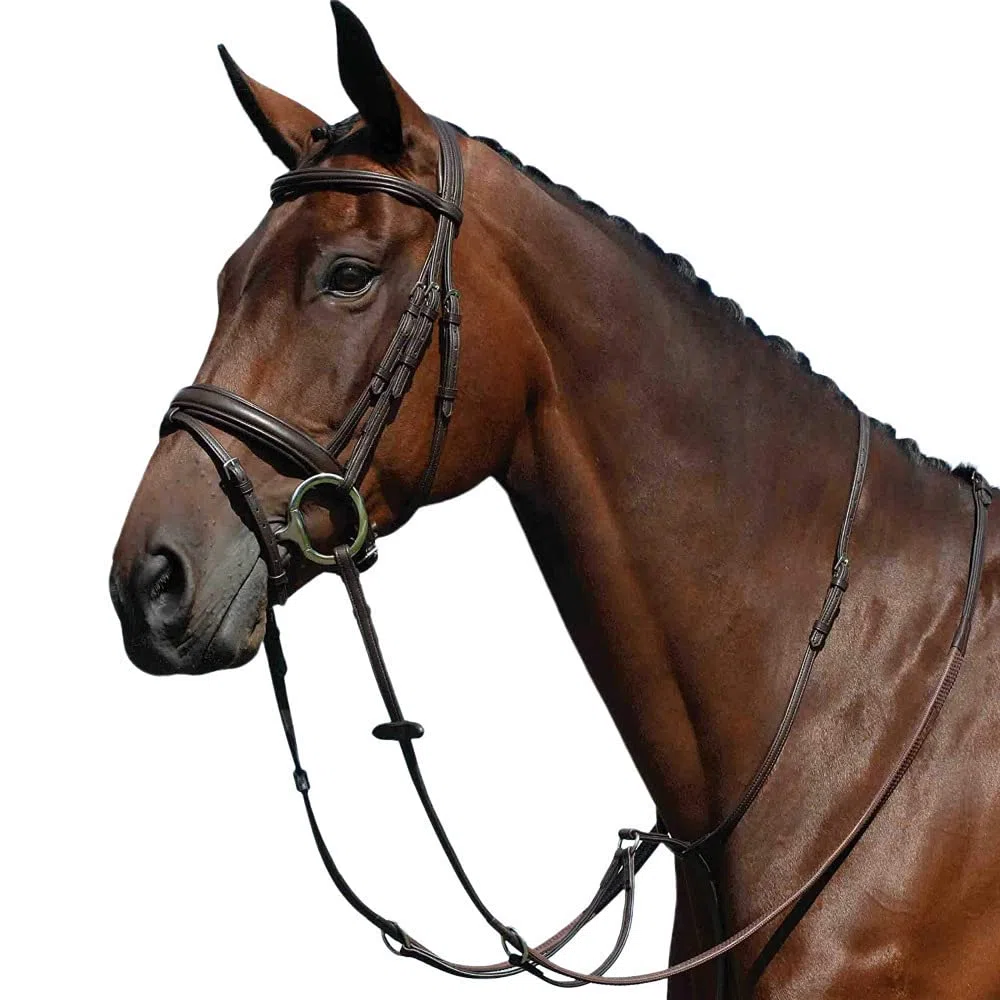 Collegiate - Martingala de anillos lisa y plana Syntovia+ (Pony) (Marrón)