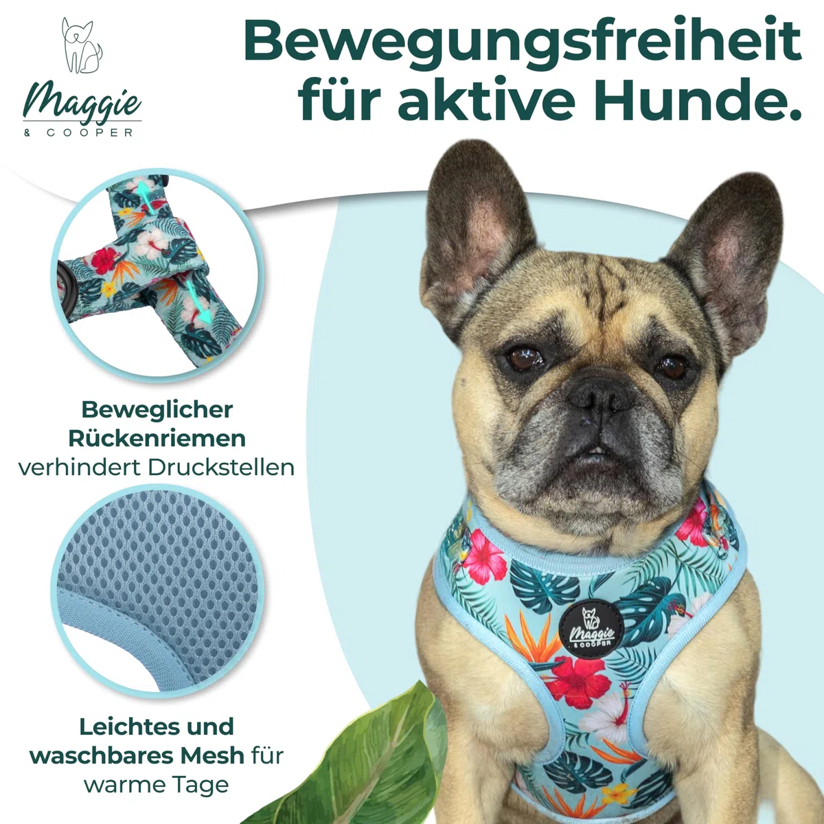 MAGGIE & COOPER Juego de correas para perros – Diseño Hawaii – 5 piezas: collar, arnés, correa, lazo, dispensador de bolsas de excrementos – 4 tamaños – Caja de regalo (L)
