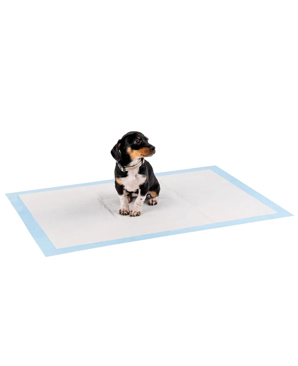 lionto Alfombrilla de Entrenamiento para Cachorros, 6 Capas con Tiras Adhesivas, 100 Unidades 60x90 cm, a Prueba de Fugas y Alta Capacidad de absorción para Animales Enfermos e incontinentes, Azul