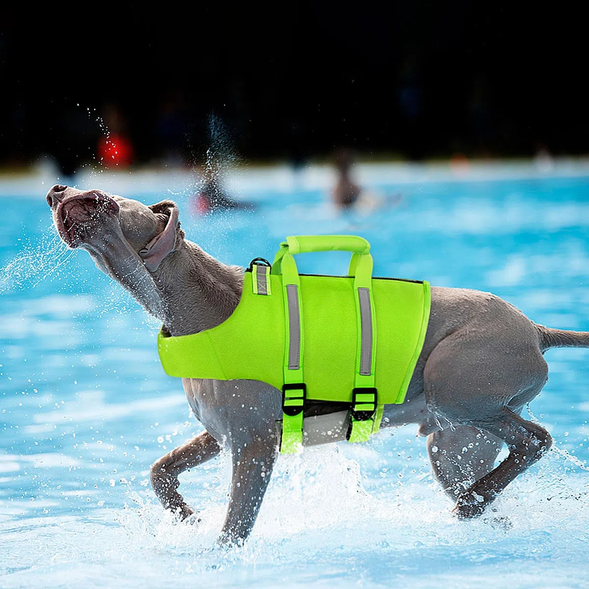 Chaleco Salvavidas Perros,Ripstop Flotador para Perros con Asa de Rescate y Rayas Reflectantes,Chaleco Perros Salvavidas Ajustable con Buena Flotabilidad para Nadar,Navegar,Playa,Verde-XL