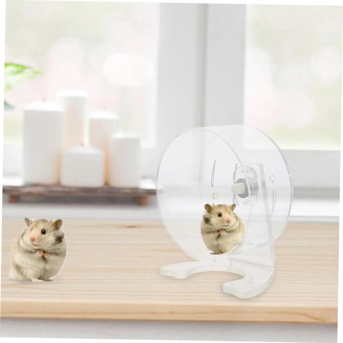 Rueda para Hámster con Soporte Transparente Silenciosa para Ejercicio de Jerbos y Pequeños Roedores Resistente Fácil de Instalar