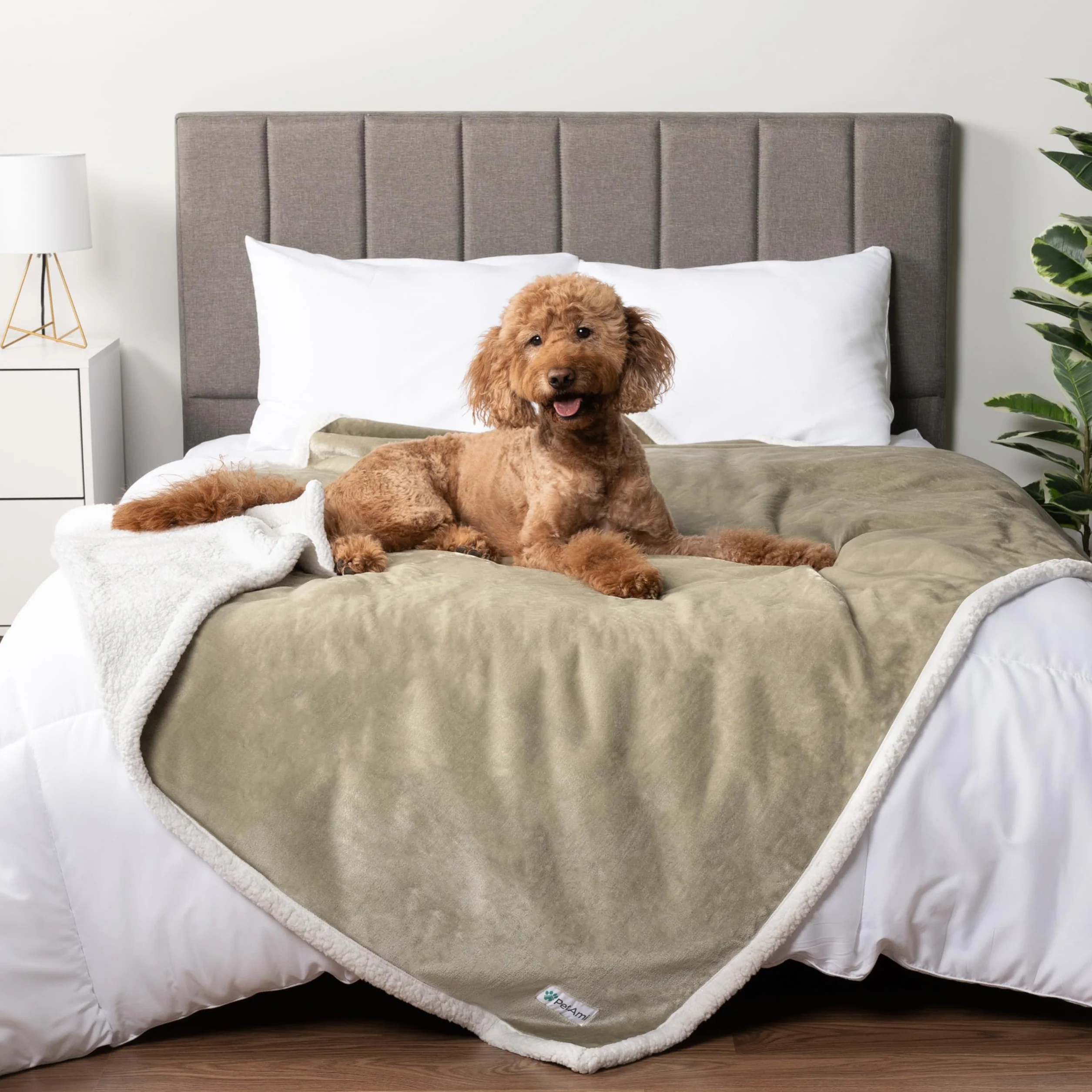 PetAmi - Manta Impermeable para Cama tamaño Queen, Perros Grandes y extragrandes, para sofá, protección a Prueba de Fugas, Forro Polar Sherpa, Reversible, Suave, Lavable, 229 x 229 cm, Color Beis