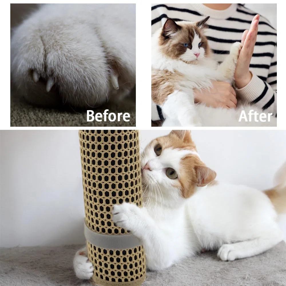 Almohadilla para rascar para Gatos Envuelta Alrededor de un Poste rascador de Gato, Almohadilla de Lima de uñas de Gato para uñas con Grano de óxido de Aluminio 80, rascador de Lima de uñas de