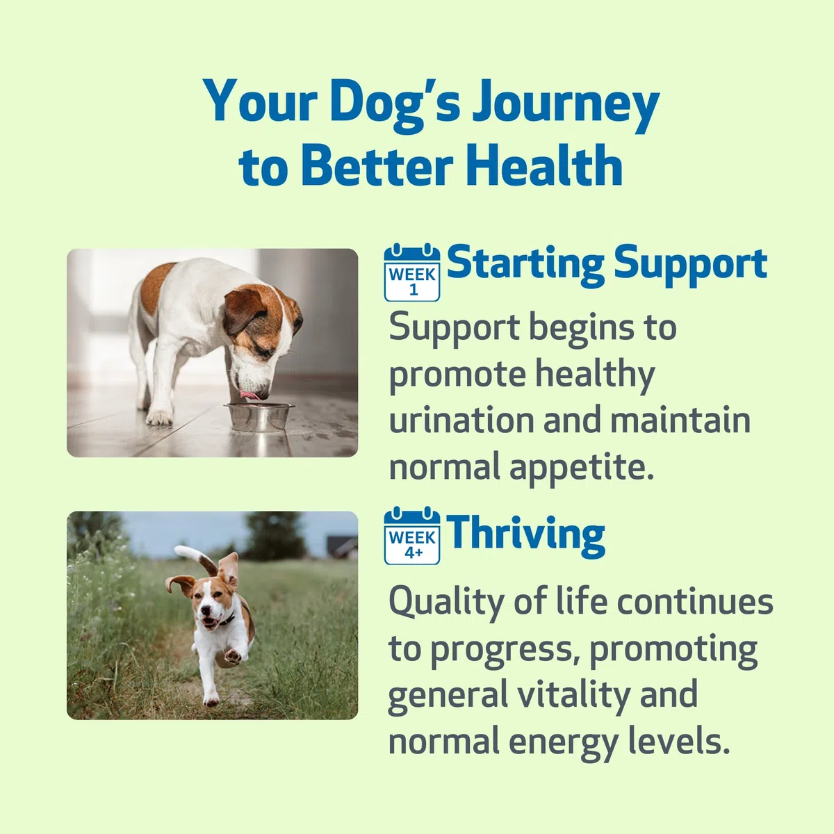 Pet Wellbeing El Apoyo del Riñón para Perros - Soporte Natural para La Salud De Riñón Canino ()