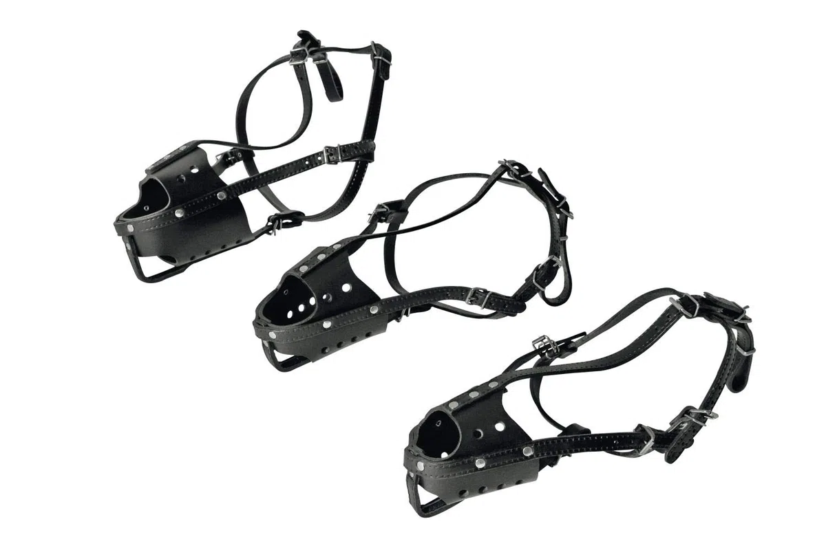 Martin Sellier MUSELIERE PLCIERE T 4 Noir Cuir VACHETTE