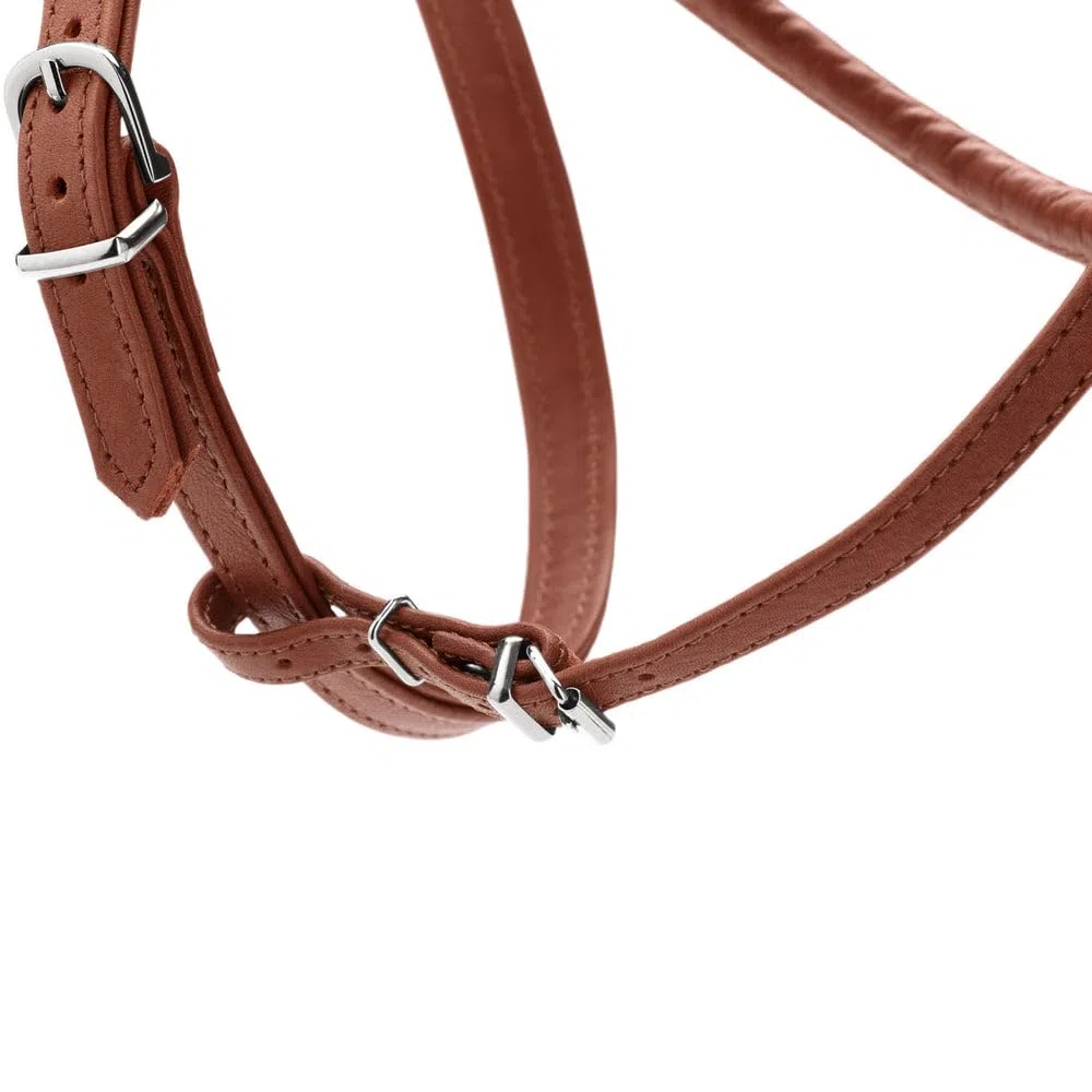 Hunter Arnés Canadiense Redondo & Soft Canadian UP, Color coñac, Suave y Flexible, Costuras Redondas, Cuidado con la Piel, sostenible, Fabricado en Alemania, Talla: S-M