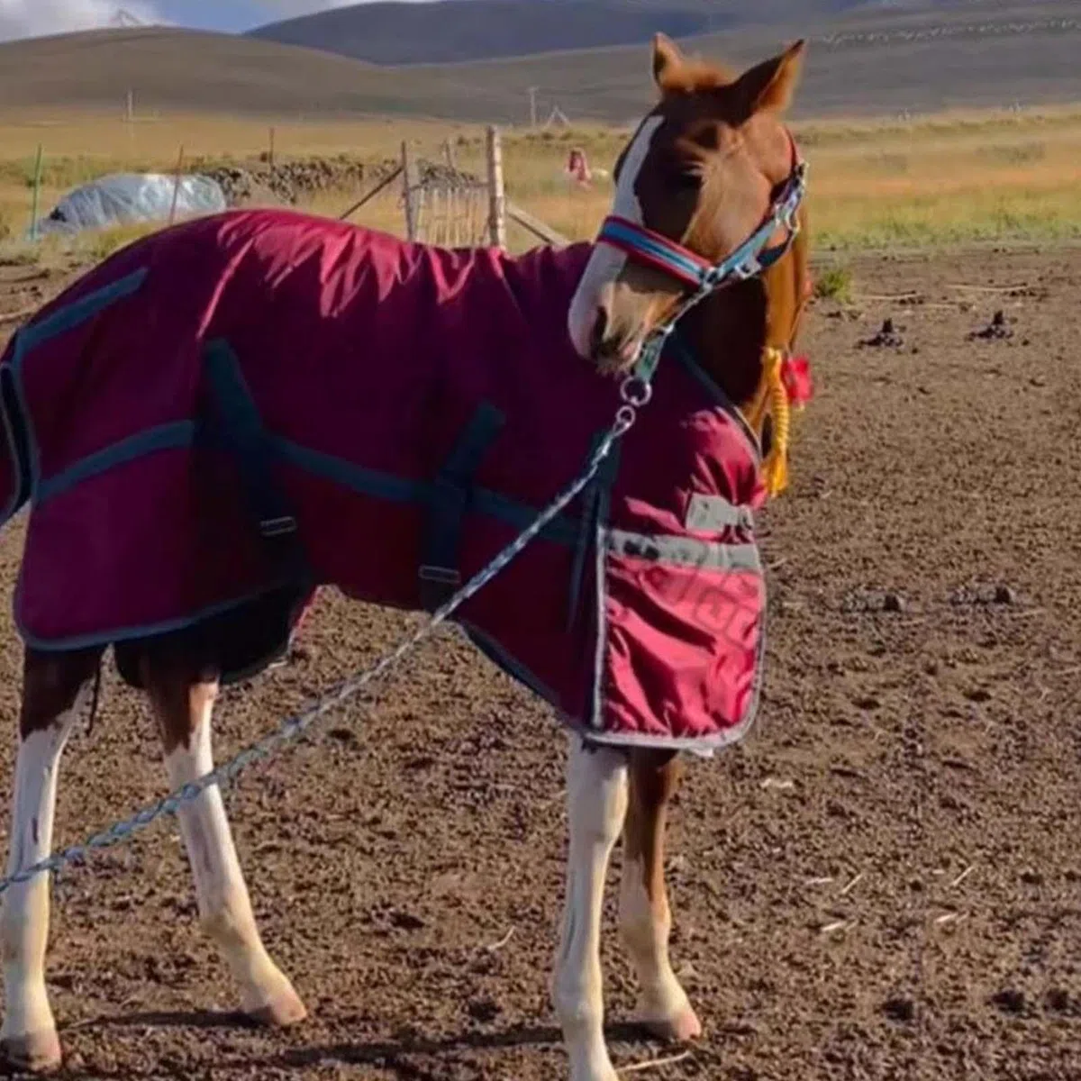 KESOTO Manta para Caballo Impermeable Transpirable Resistente Al Viento Confeccionada en Tela Oxford con Relleno de Poliéster Adecuada para Protección contra