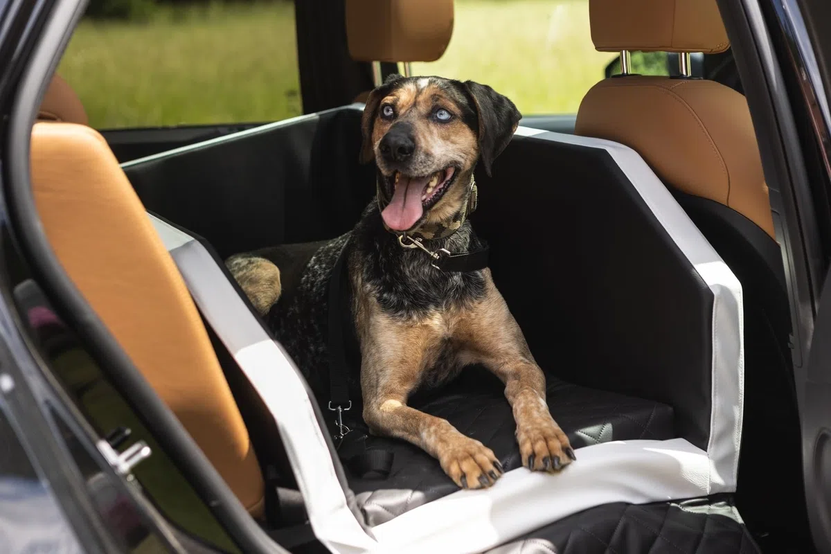 Velinda Transportín Cama para el Asiento Trasero, de Coche para Perros, colchón 55x70 cm (Color: Negro)