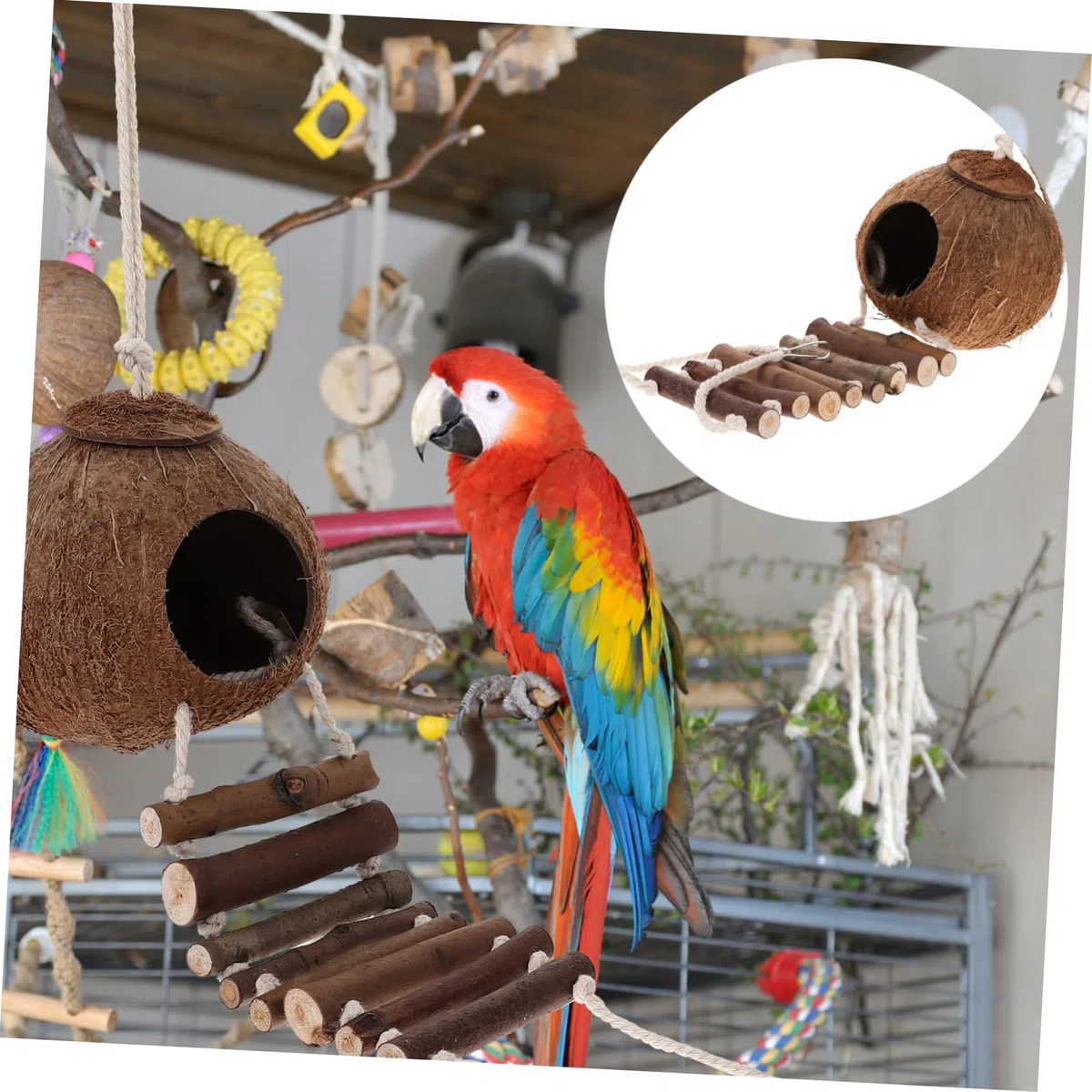 BESPORTBLE Casa para Cangrejo Ermitaño de Cáscara Natural con Escalera Hábitat para Cangrejo Ermitaño Decoración de Terrario para Reptiles Cueva Delicada para Terrario