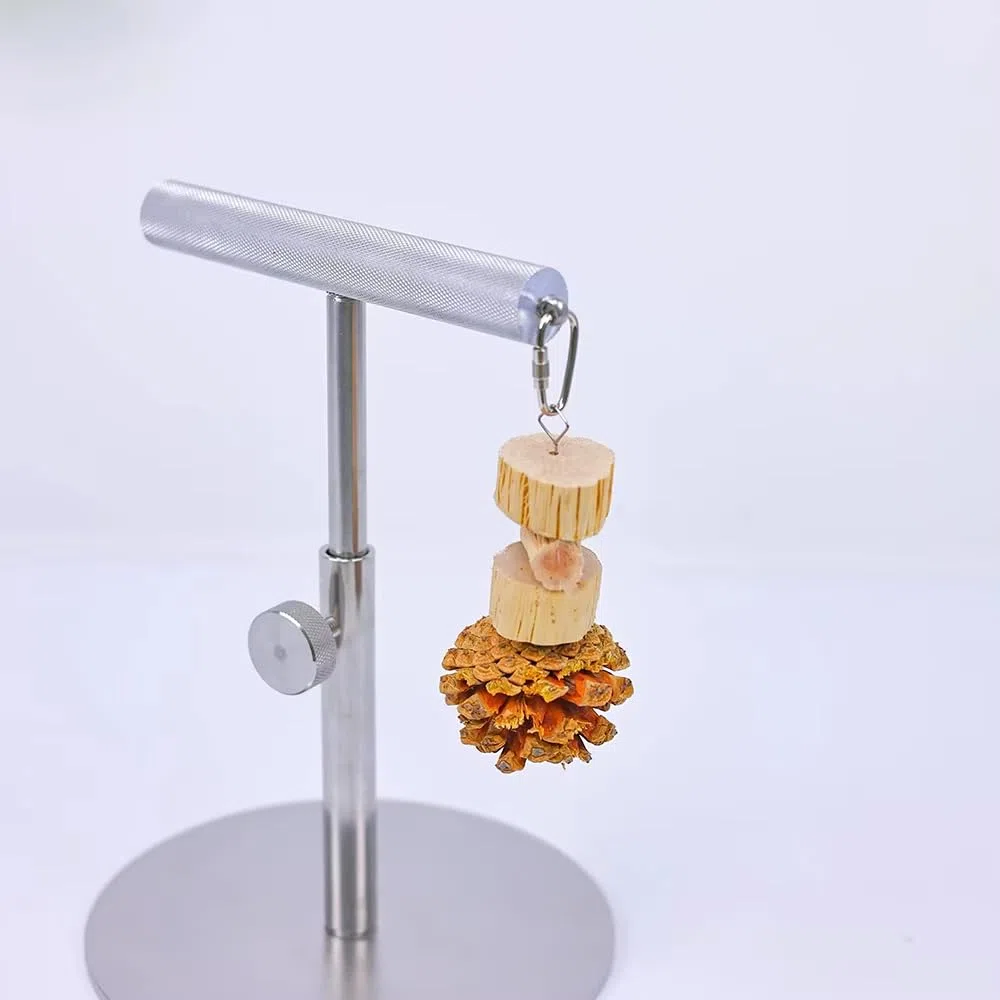 Soporte de Escritorio para Loros, Percha de Entrenamiento Totalmente Metálica para Aves