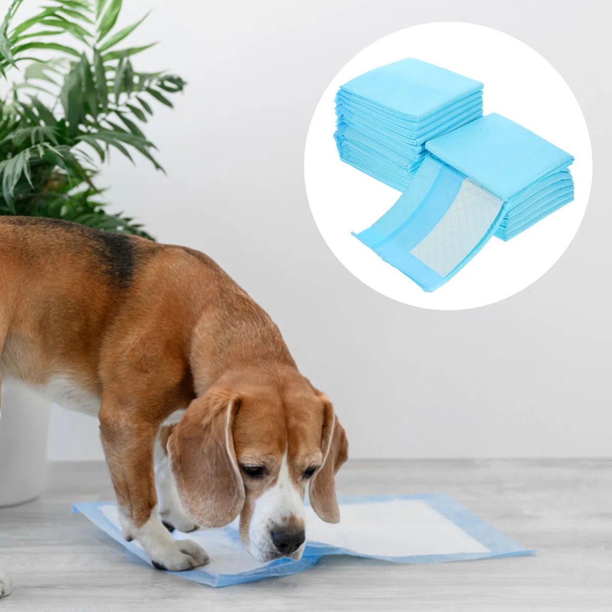 COLLBATH Empapador para Cachorros y Mascotas 40 Almohadillas No Tejidas Absorbentes para Entrenamiento y Viajes