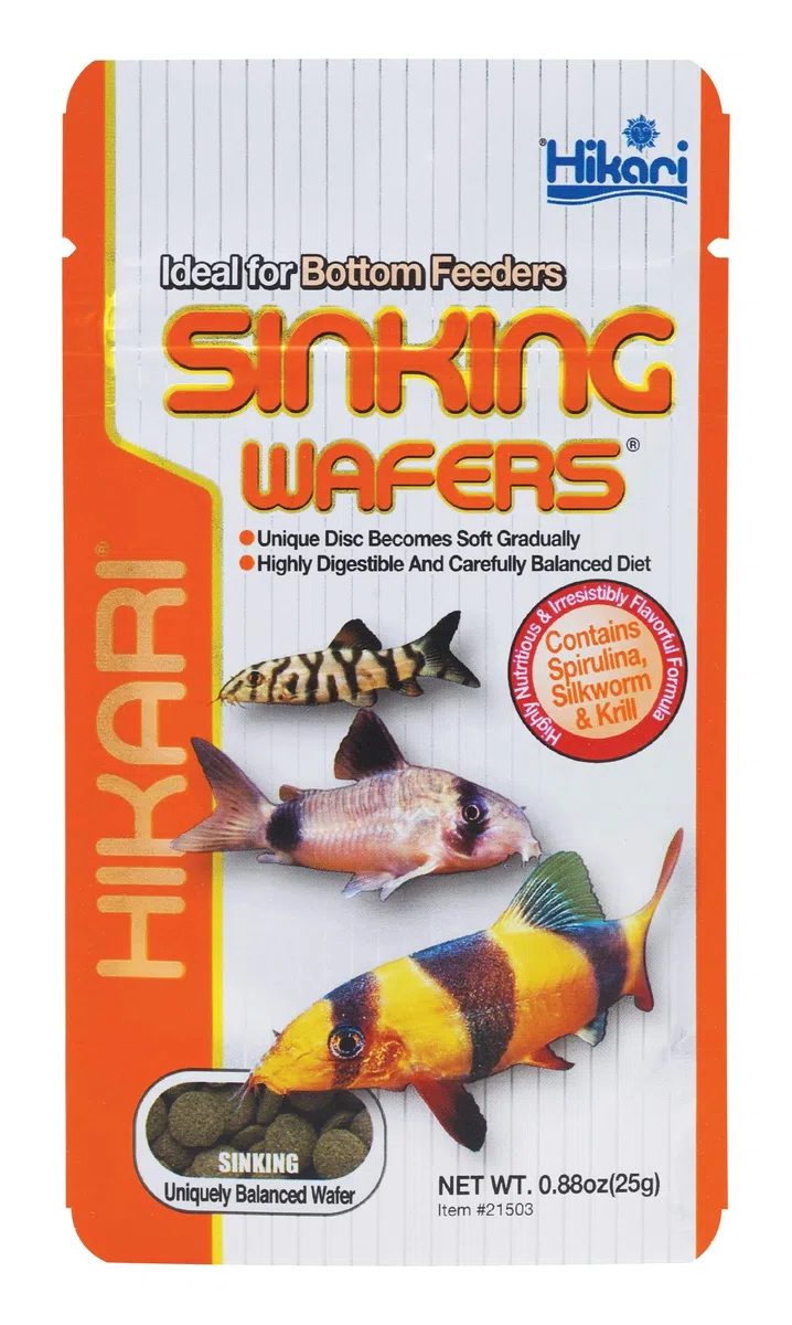Hikari Obleas Tropicales de hundimiento de pescado, 0.88 oz (25g)