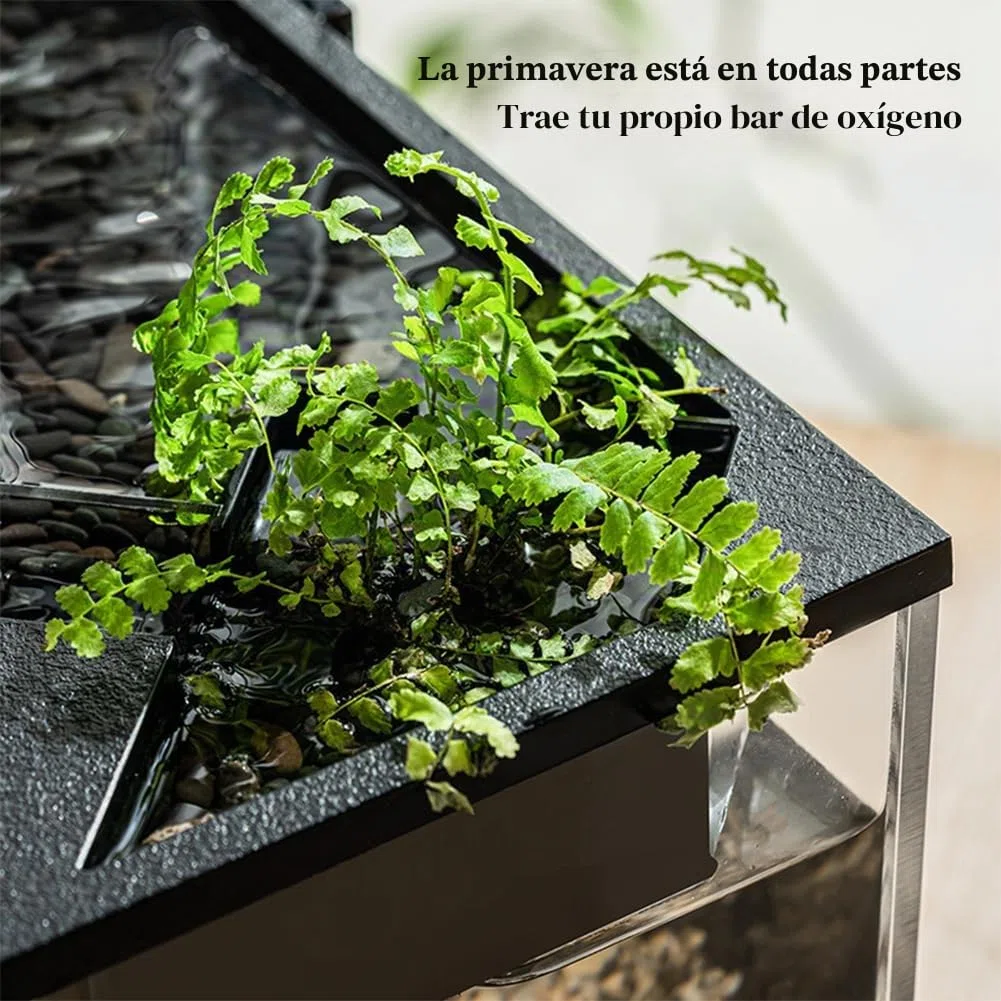 Tanque de Peces Con Filtro, Kits de Iniciación de Acuario, Bomba de Aire y Luz - Para Peces Tropicales, Agua Fría, Camarones Grandes - Rectangular
